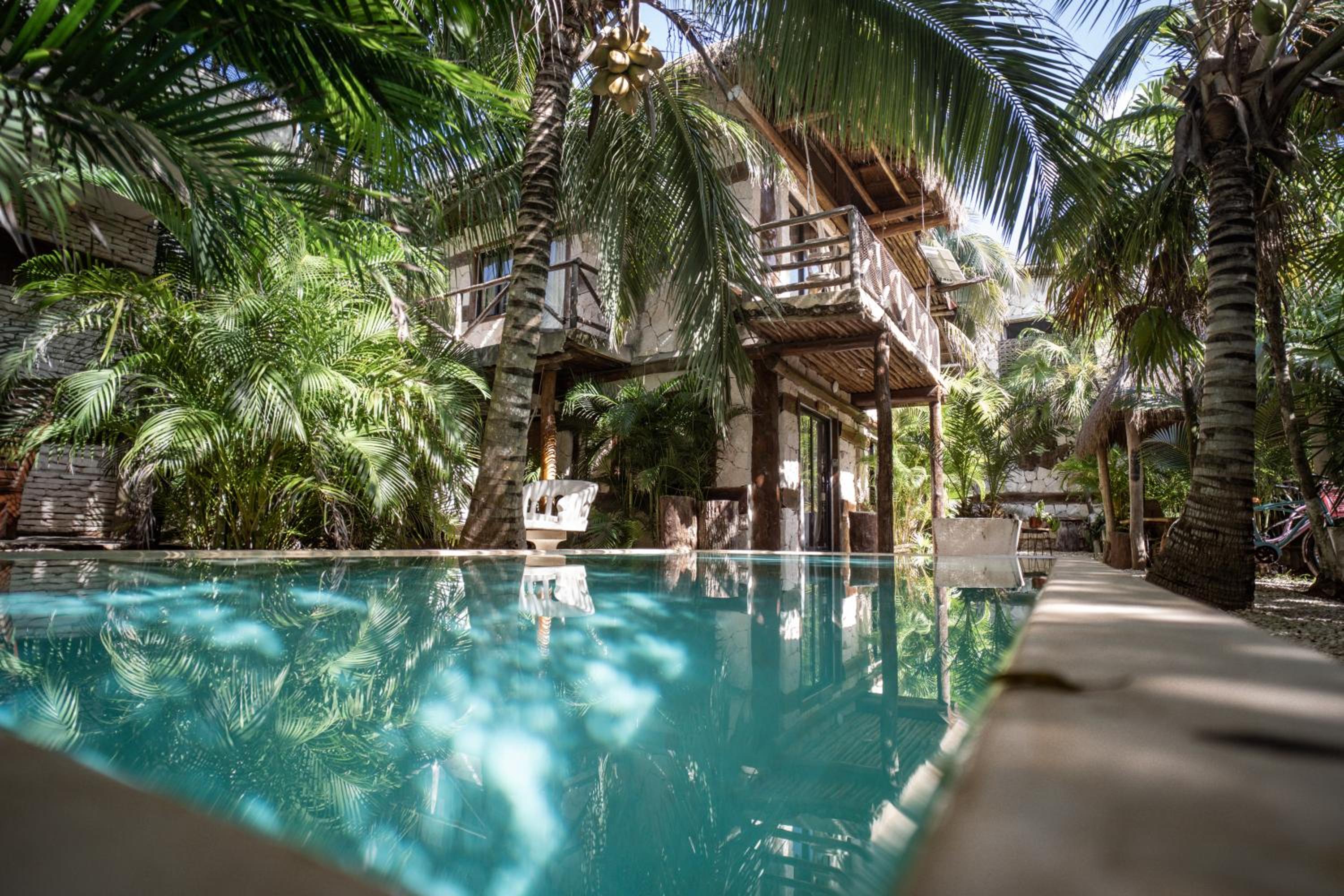 Superior Double or Twin Room with Jungle View - Photo 39