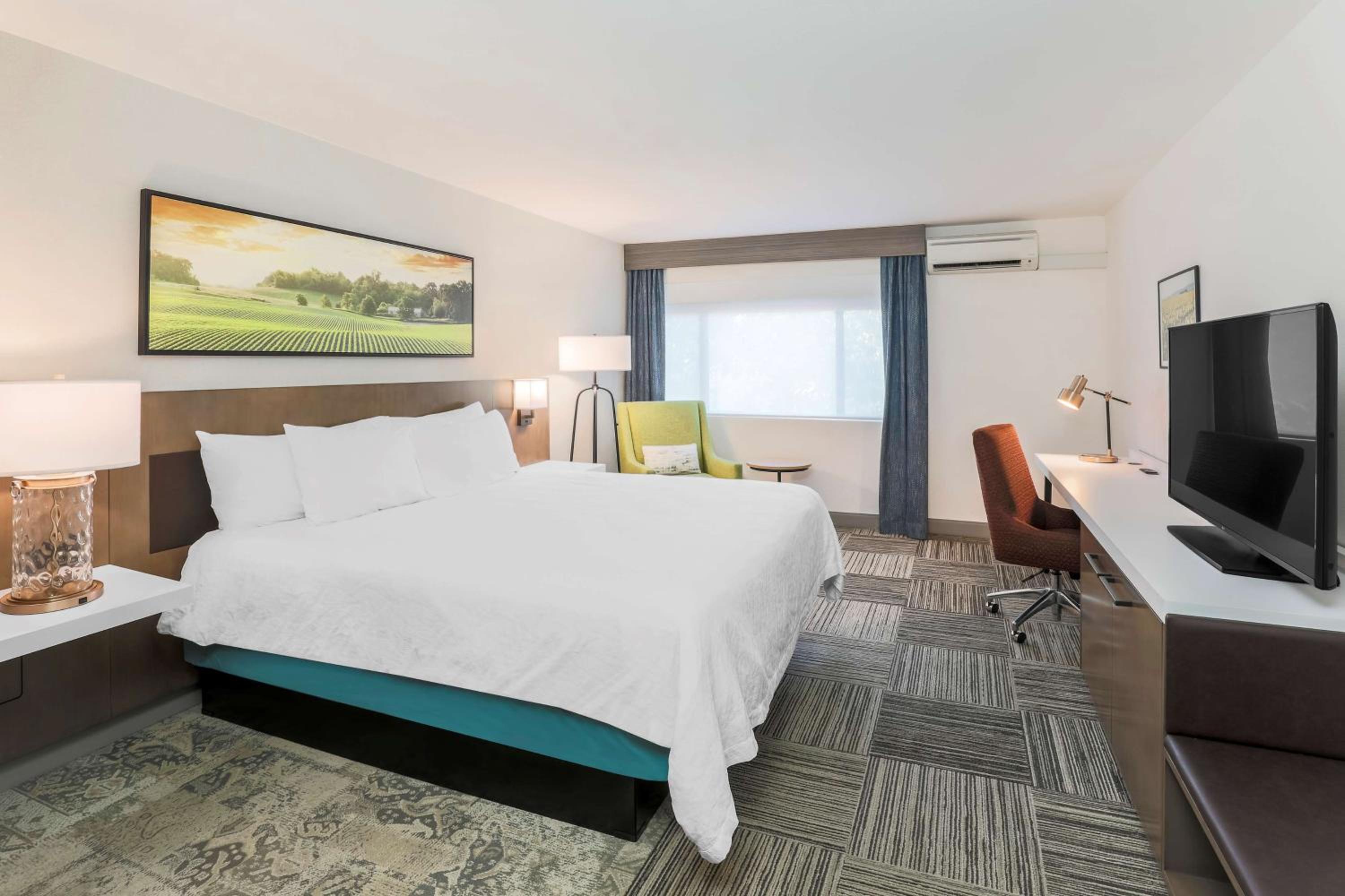 King Room photo 1