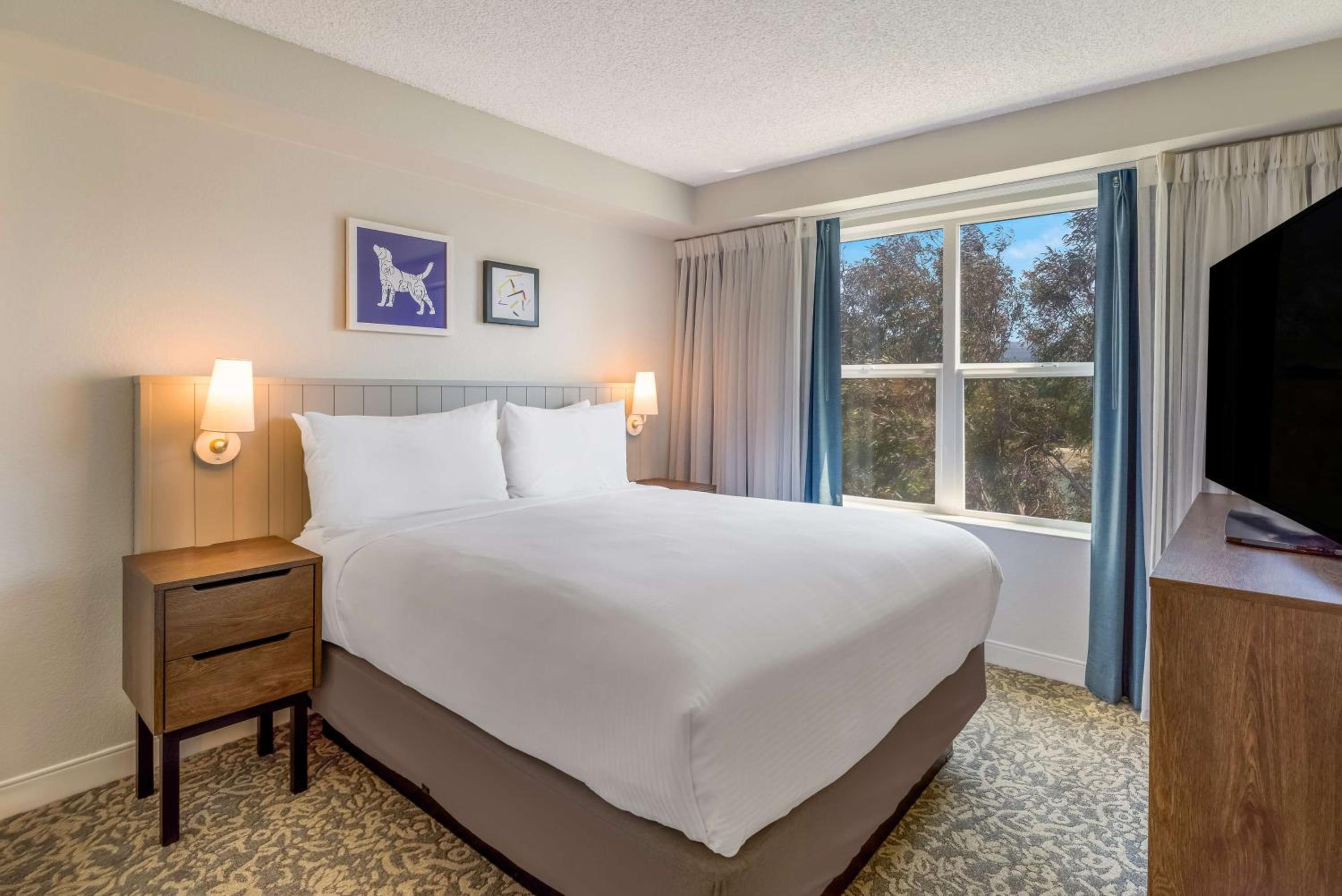 Bay View Two Bedroom Suite Queen in Each - Photo 4