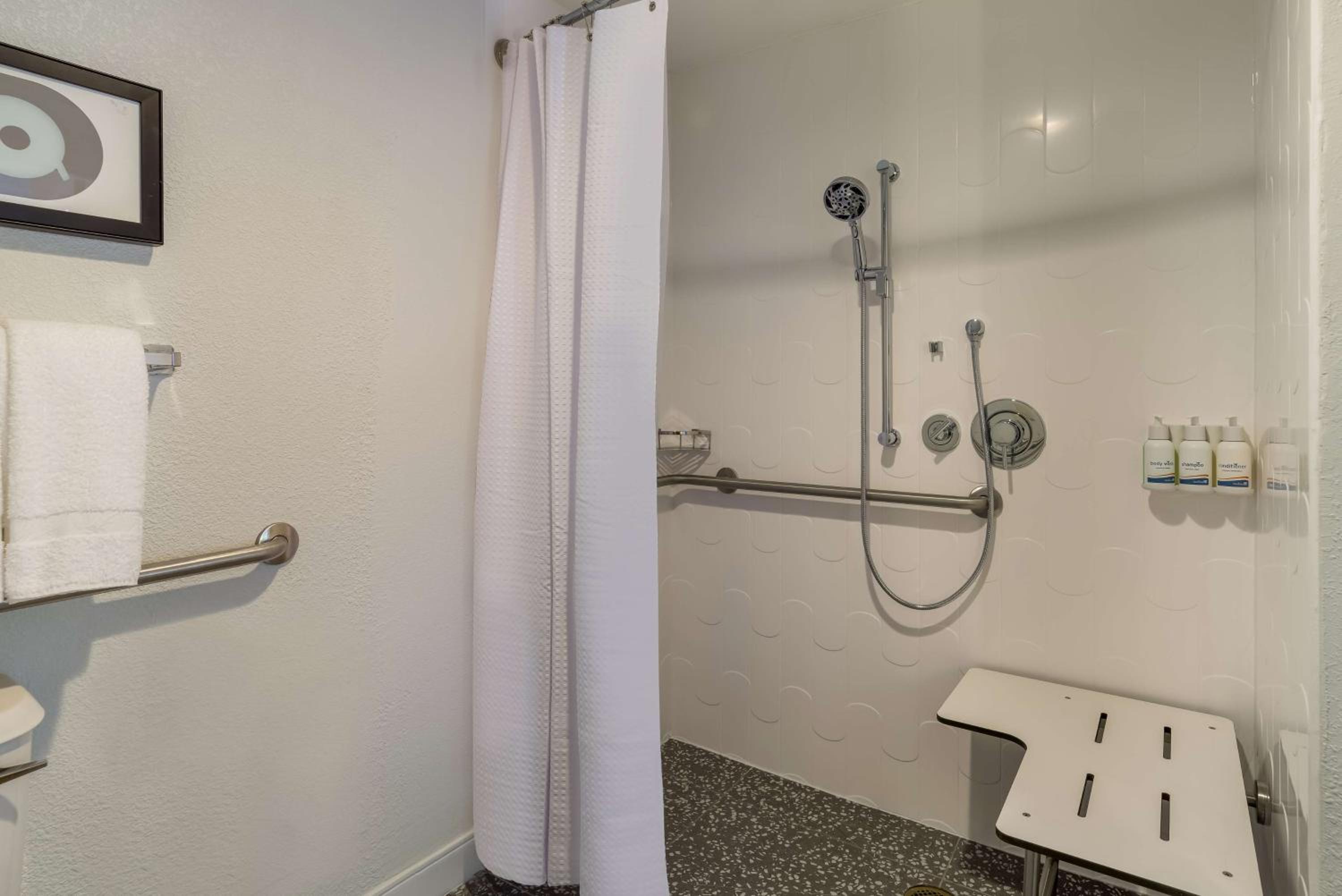 Mobility Accessible Two Bedroom Suite Two Queens Roll-In Shower - Photo 9