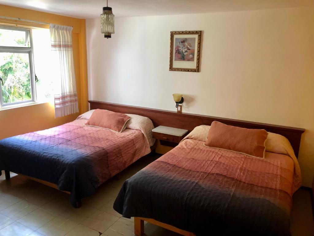 Superior Double Room with Two Double Beds photo 2