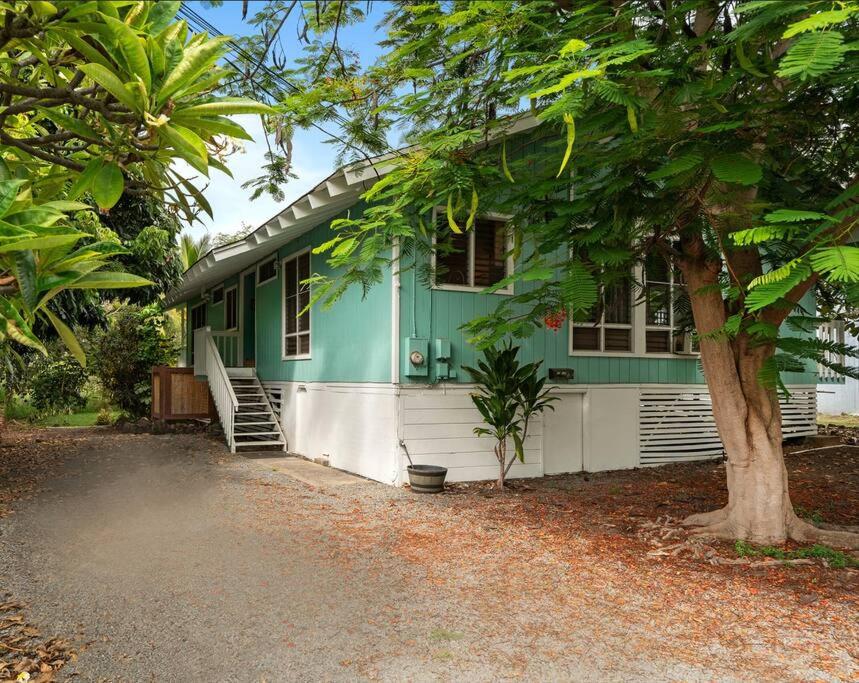 Four-Bedroom House photo 2