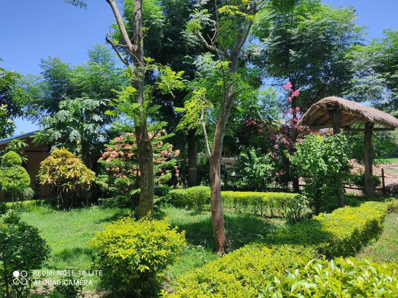 Double Room With Garden View photo 2