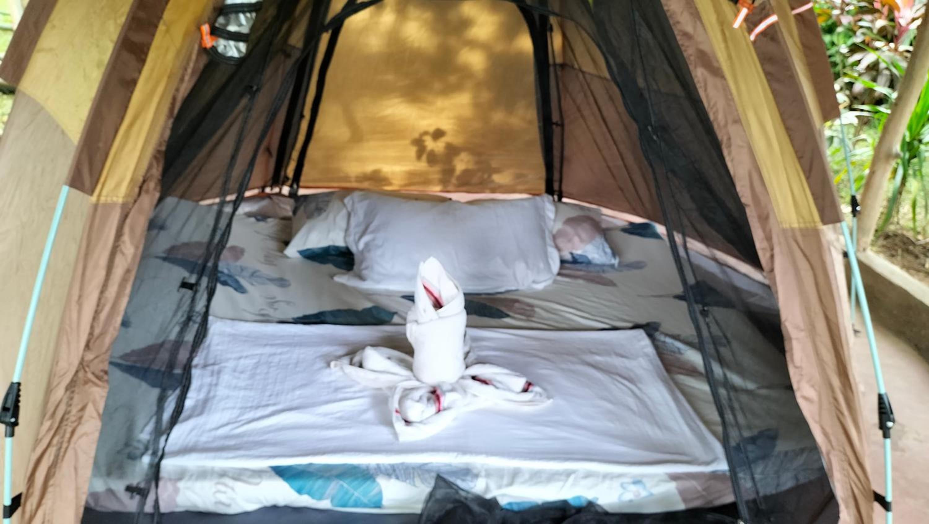 Tent photo 1