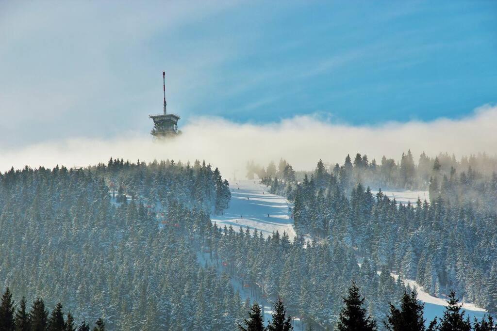 Chalet photo 3