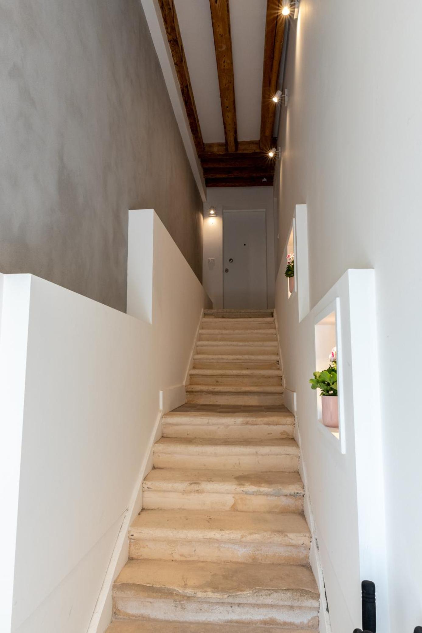 Apartment with Terrace photo 3