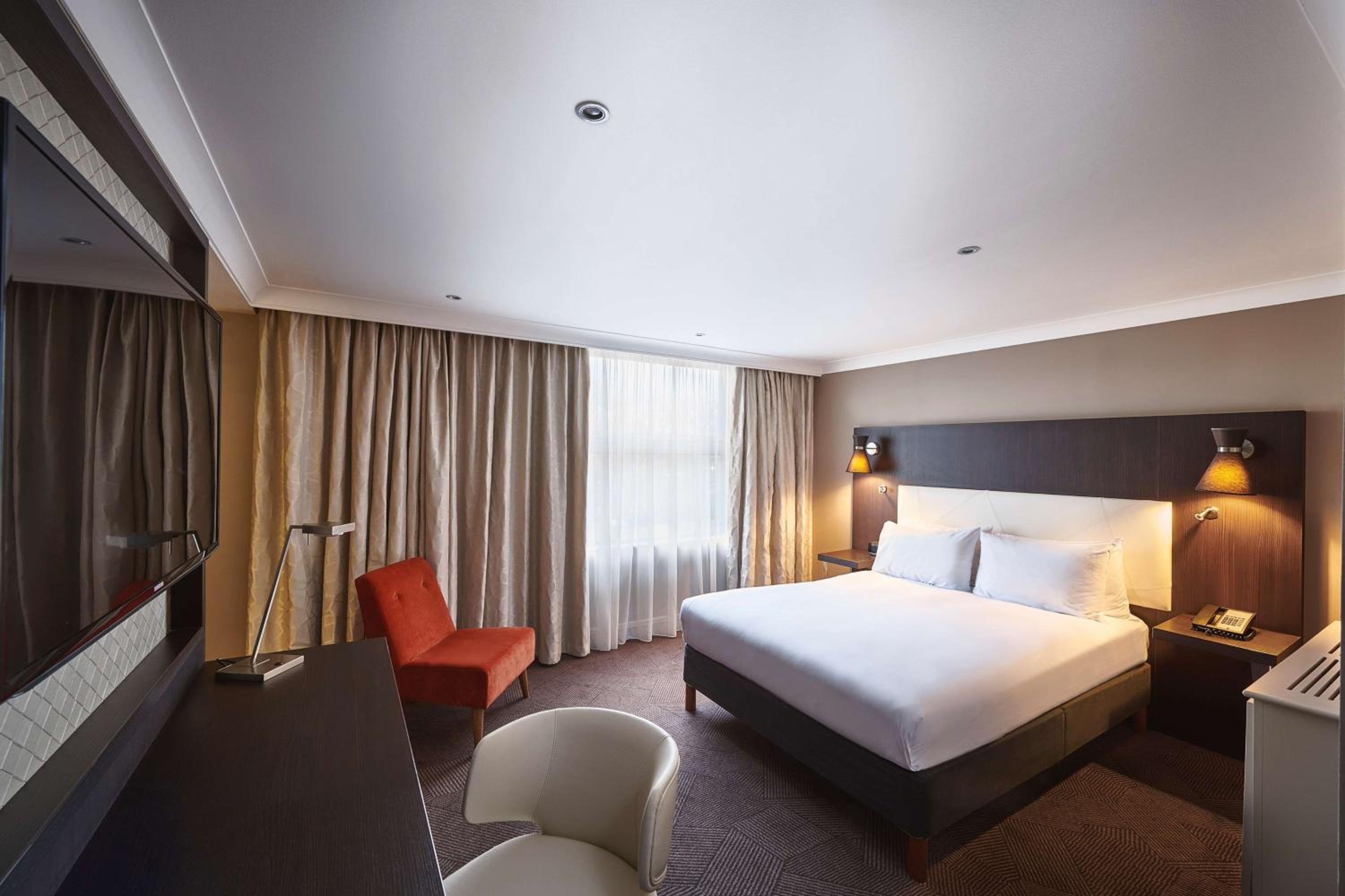 Junior Queen Suite photo 1