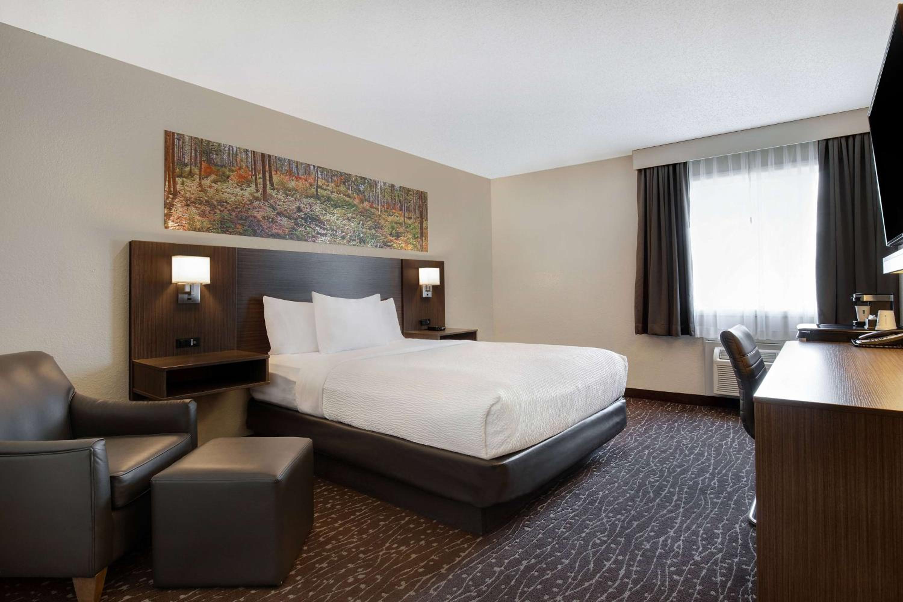 Queen Room with Mobility Access and Bathtub with Grab Bars, Non-Smoking photo 1