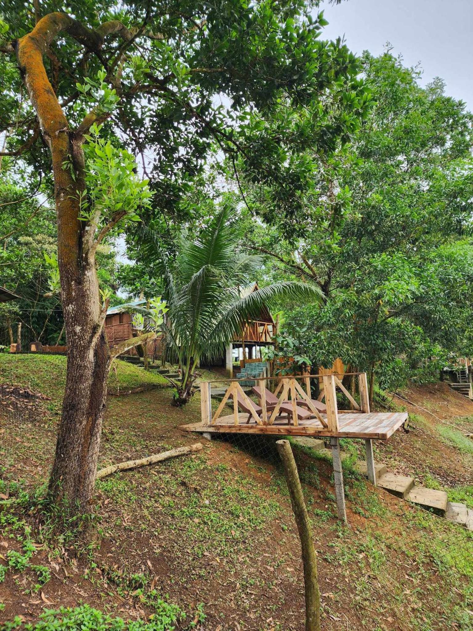 Deluxe Villa - Photo 9