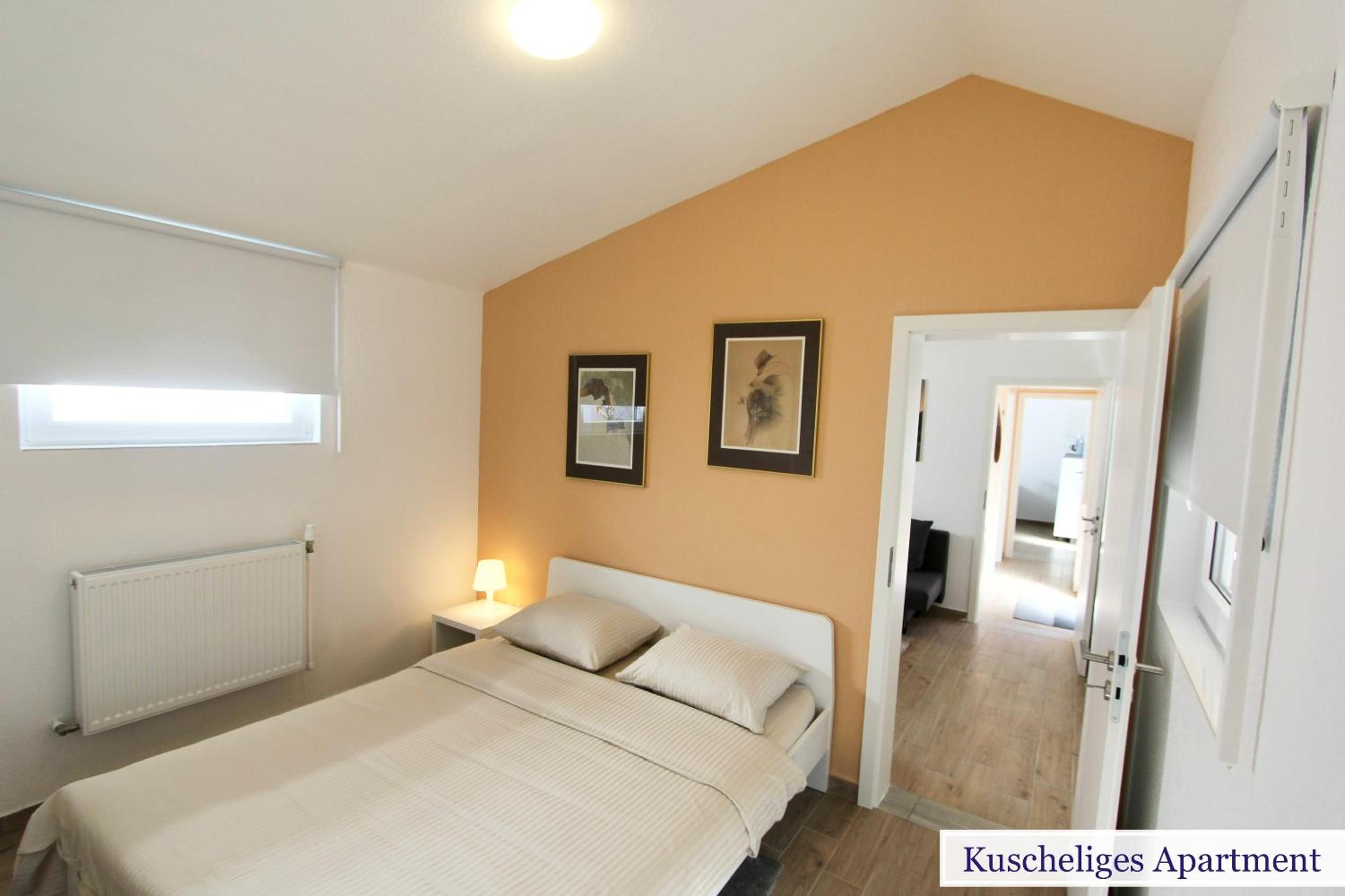 Apartment with Terrace photo 1