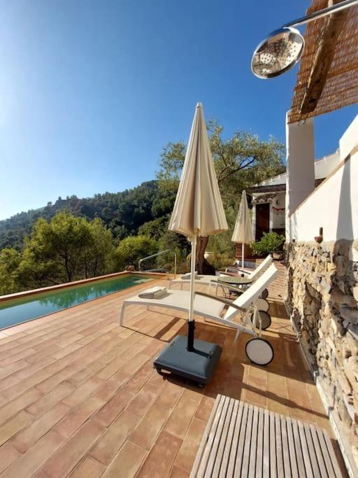 One-Bedroom Villa photo 2