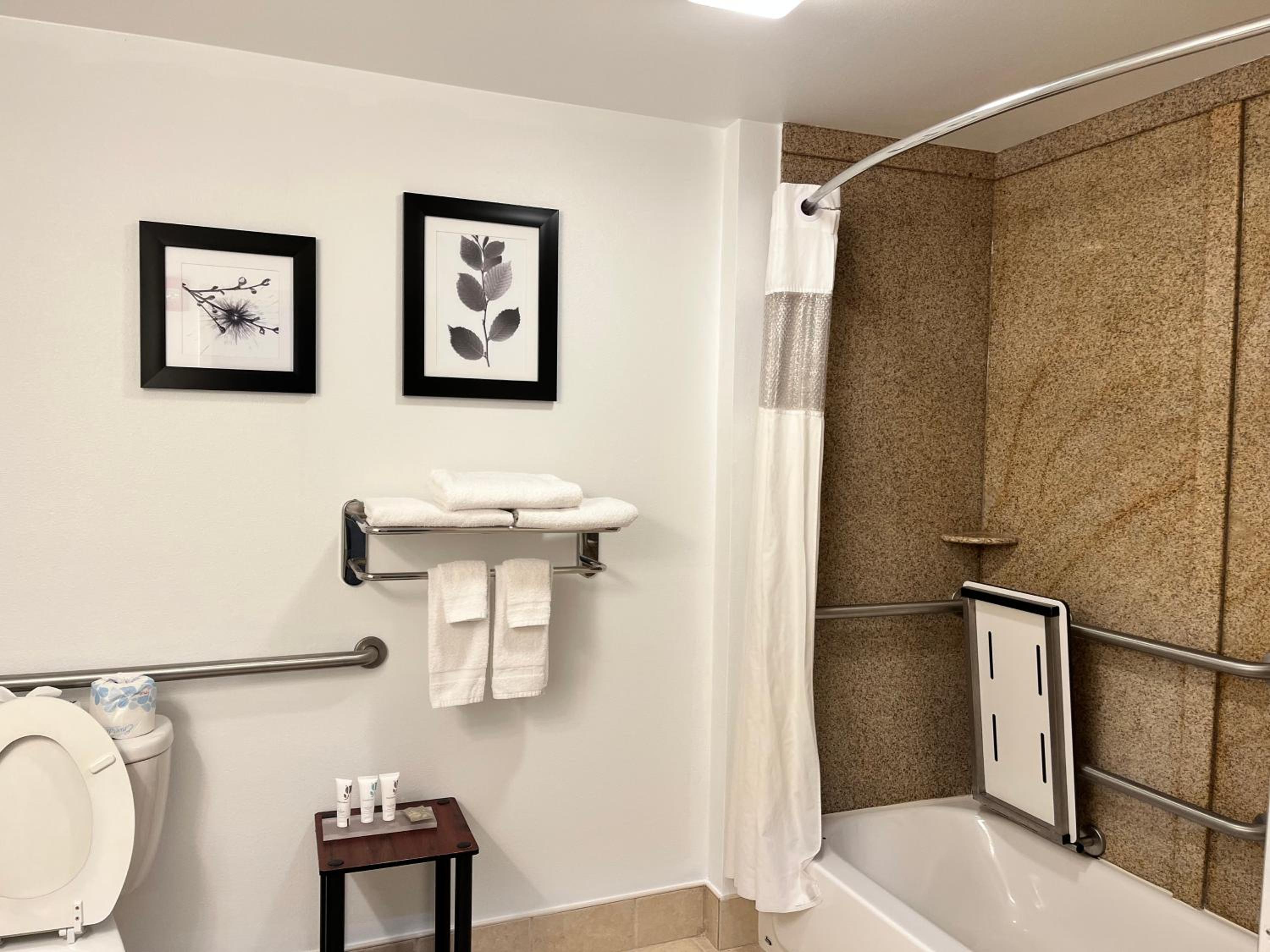 One-Bedroom King Suite - Disability Access/Non-Smoking photo 2