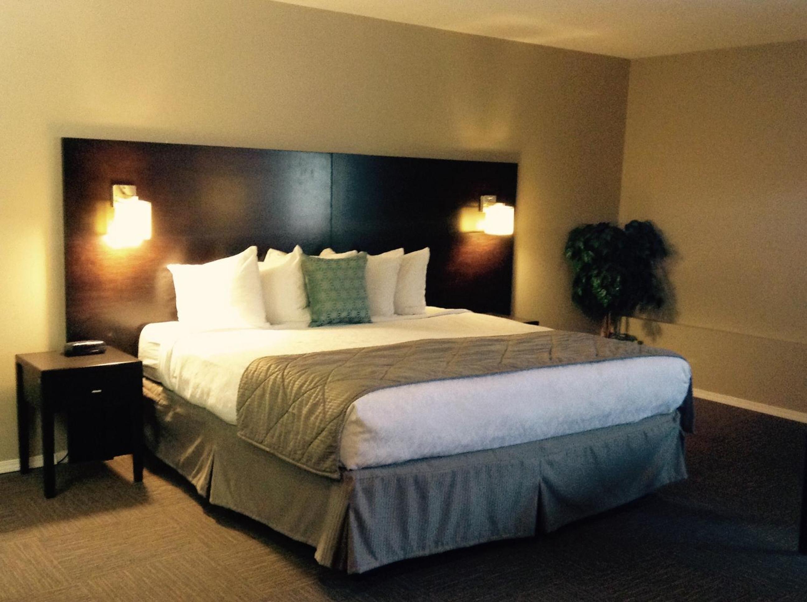 Queen Studio with Two Queen Beds - Non-Smoking