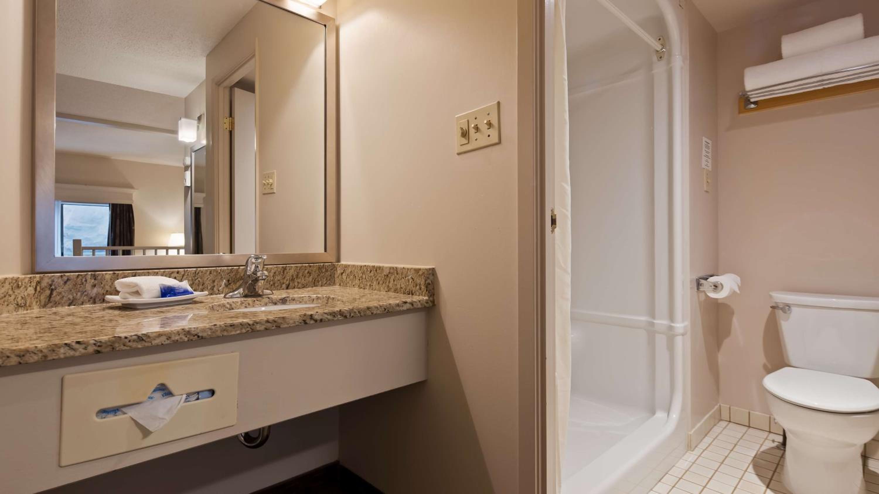 bathroom with a marble counter top and a white toilet