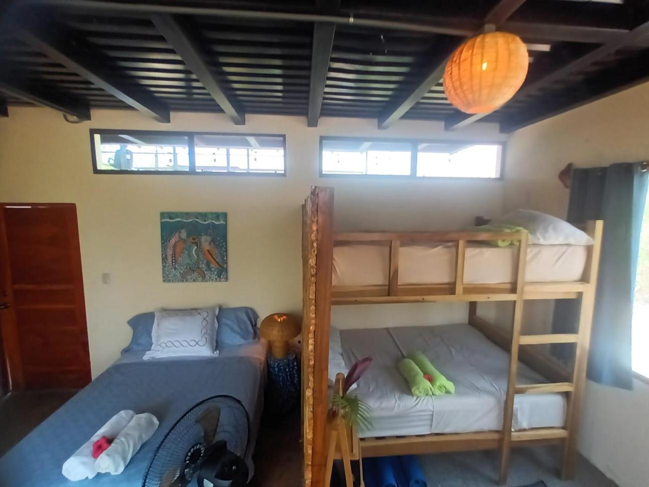Single Bed in Mixed Dormitory Room photo 3