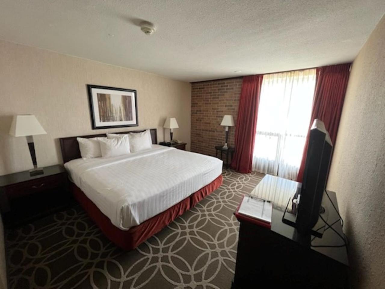 One-Bedroom Suite - Photo 1