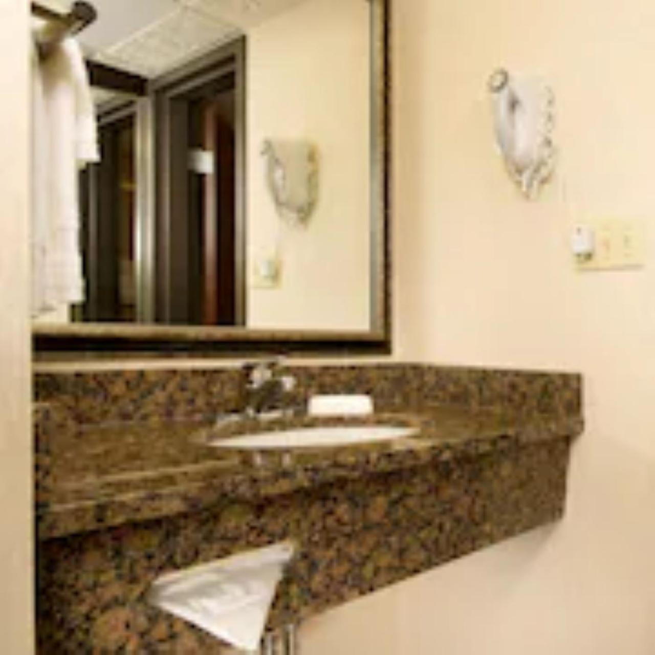 One-Bedroom Suite - Photo 6