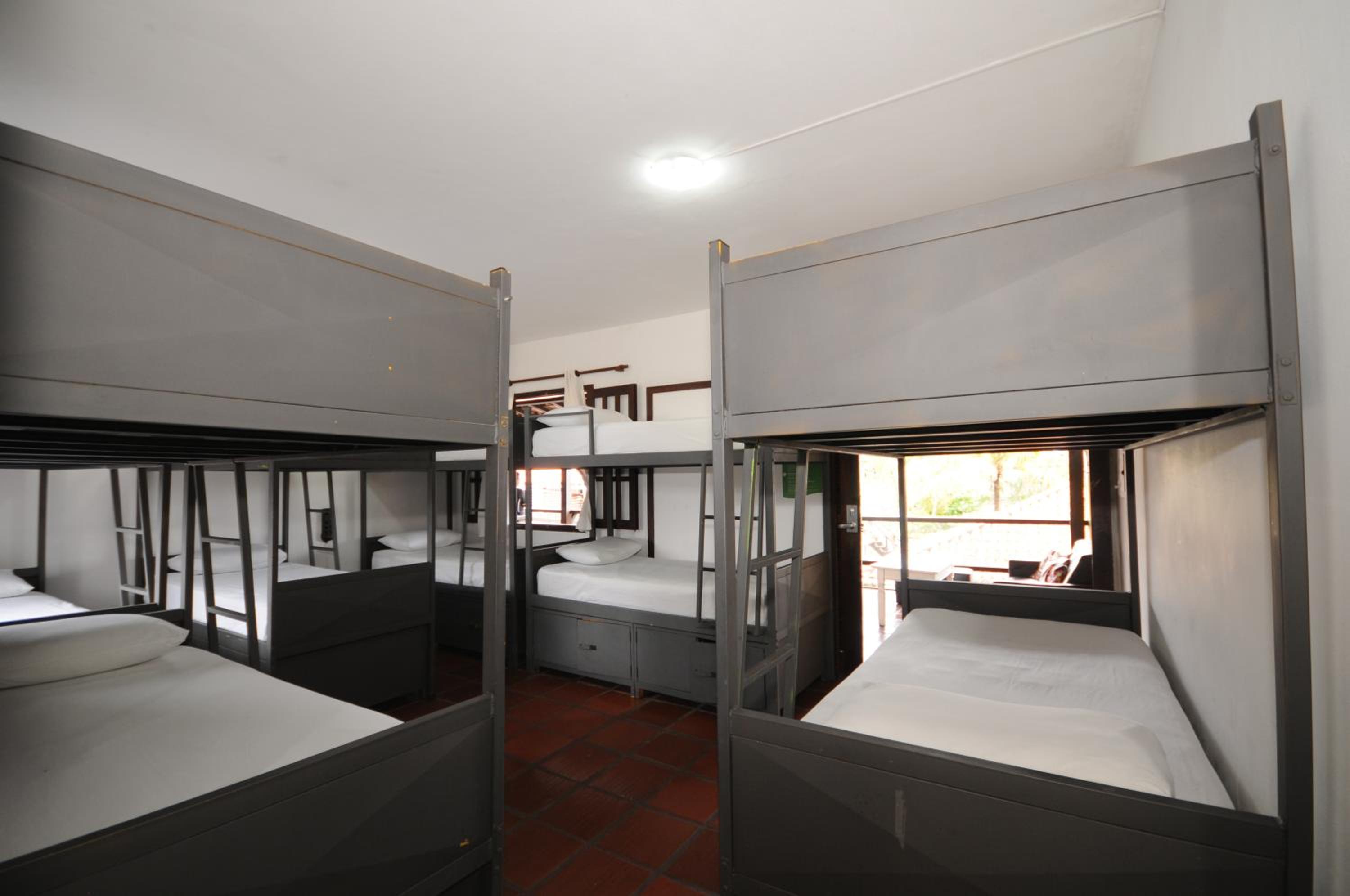 Bunk Bed in Mixed Dormitory Room photo 1