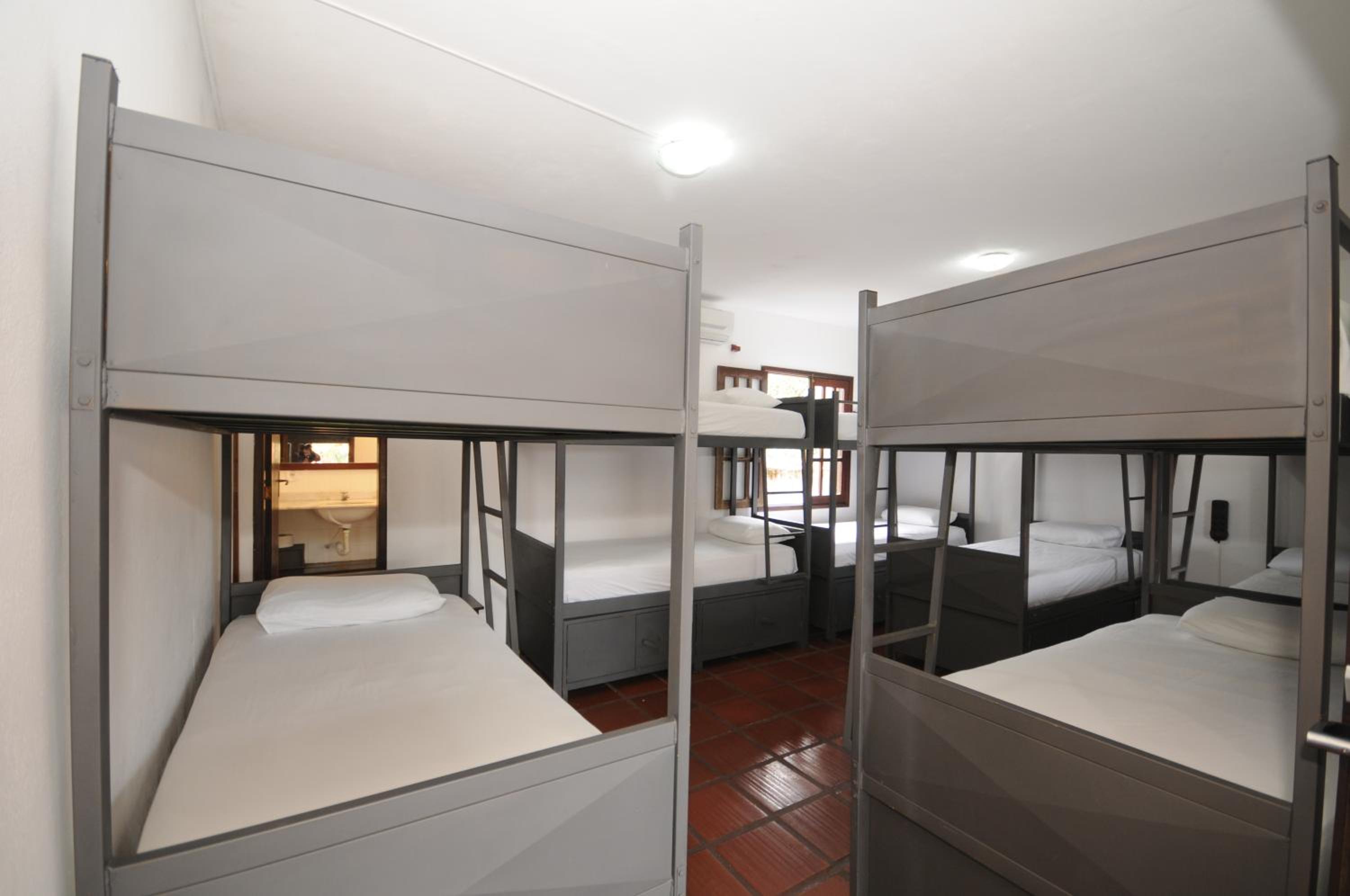 Bunk Bed in Mixed Dormitory Room photo 3
