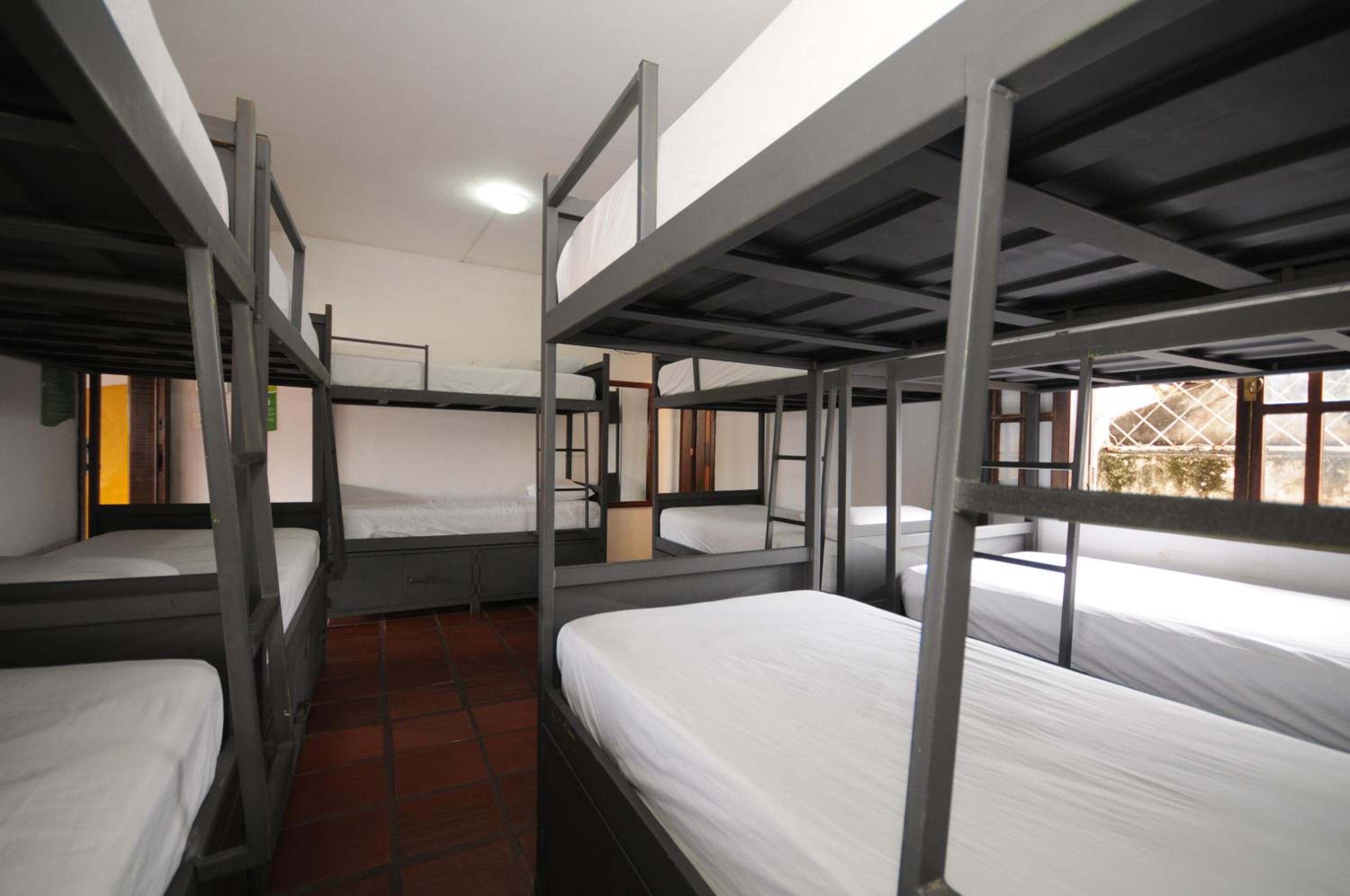 Bunk Bed in Mixed Dormitory Room photo 2