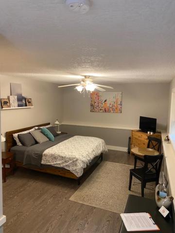 King Suite photo 1