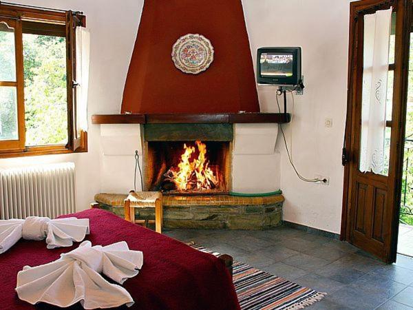 Double or Twin Room with Fireplace - Photo 1