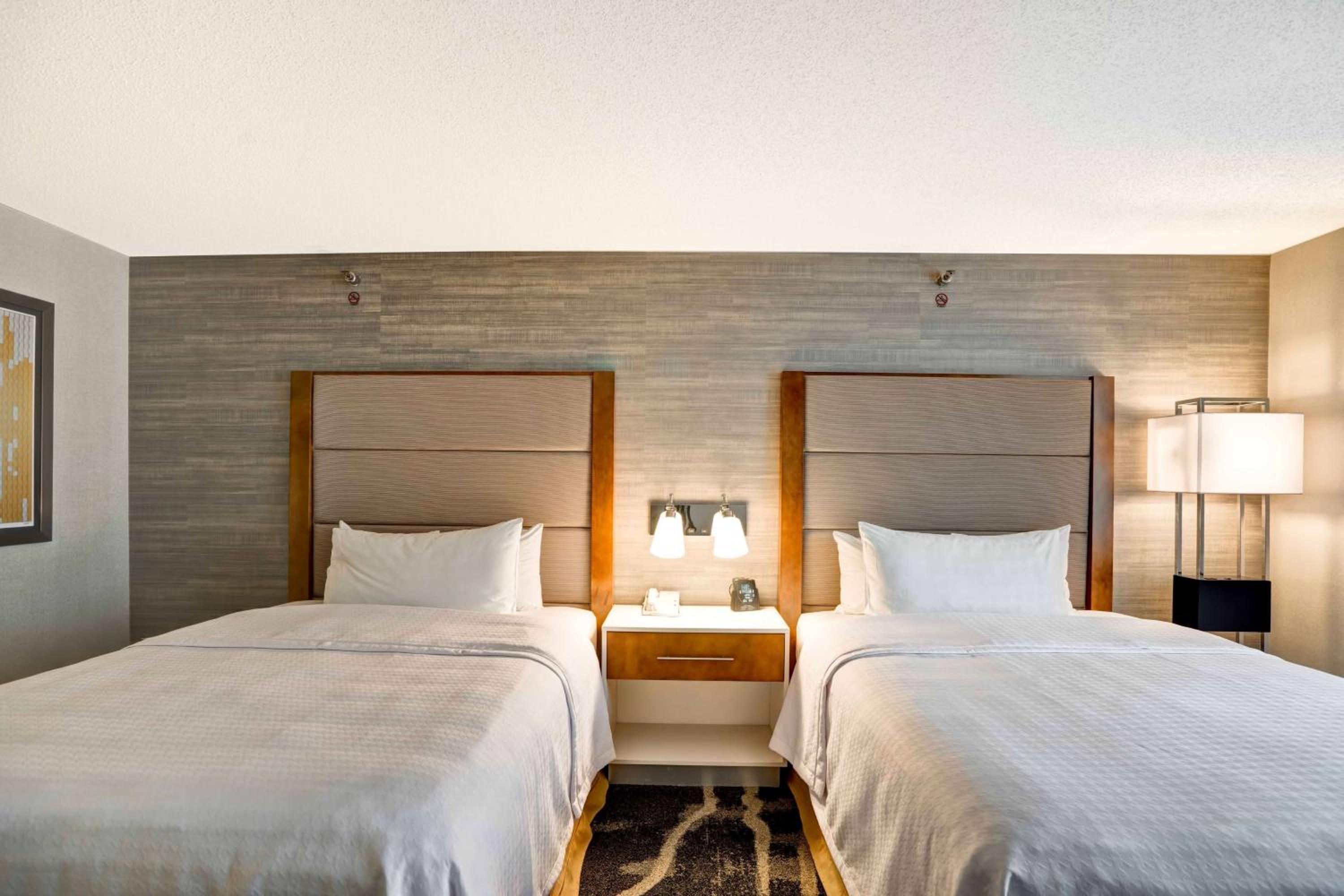 One-Bedroom Queen Suite