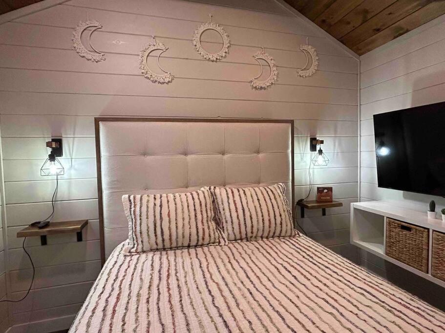 One-Bedroom House photo 1