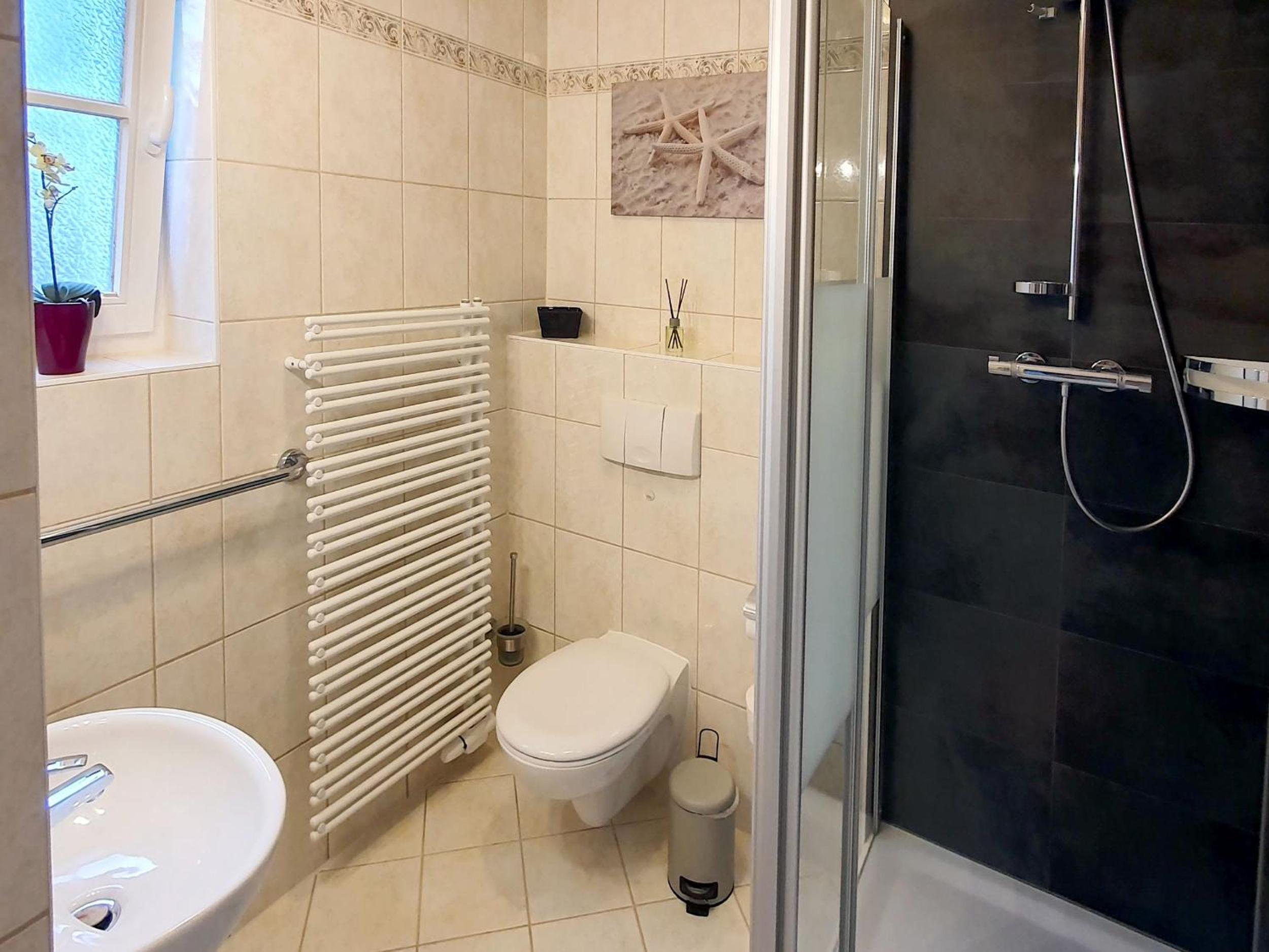 Apartment with Terrace photo 3