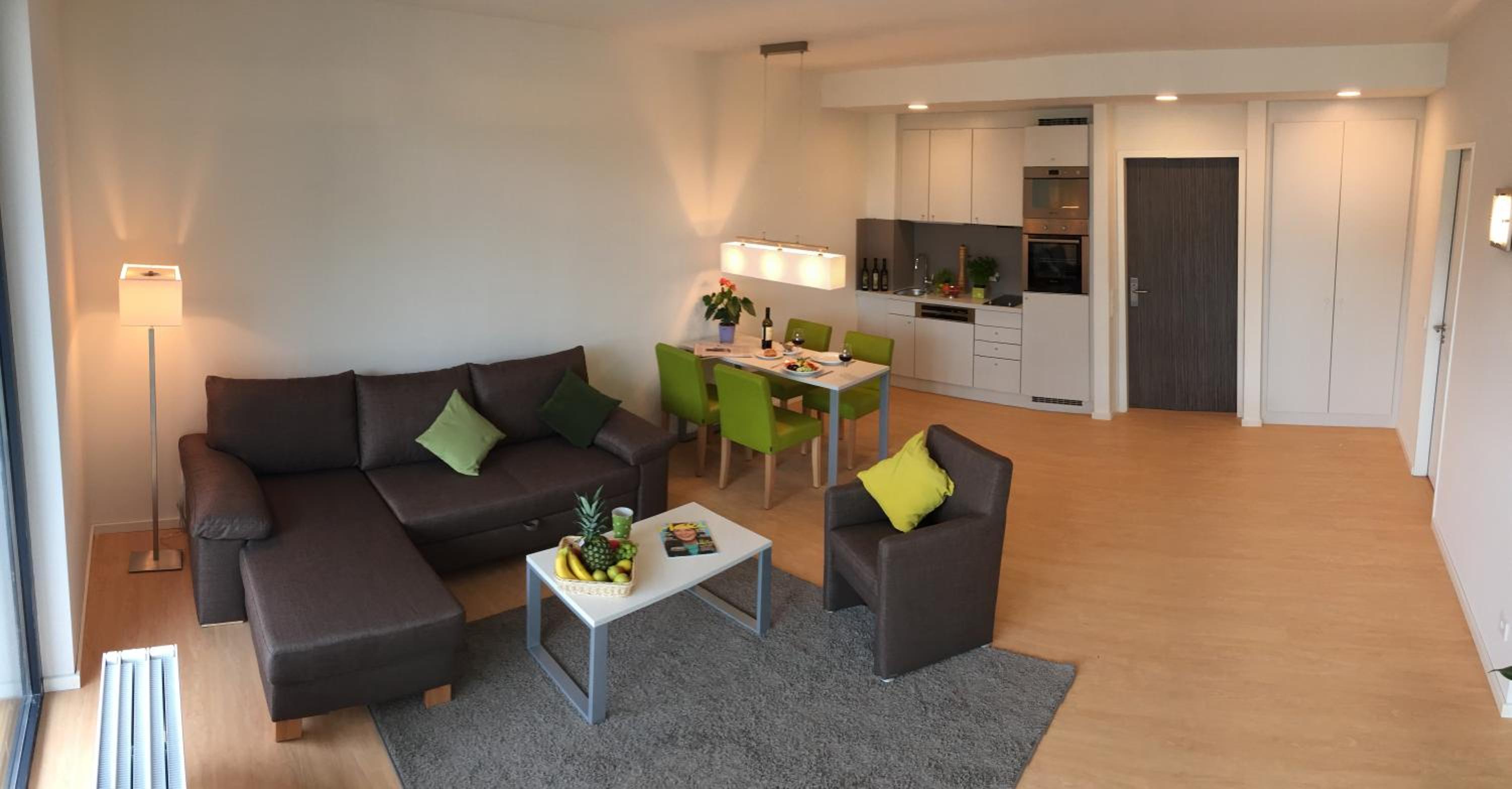 Comfort One-Bedroom Apartment photo 2
