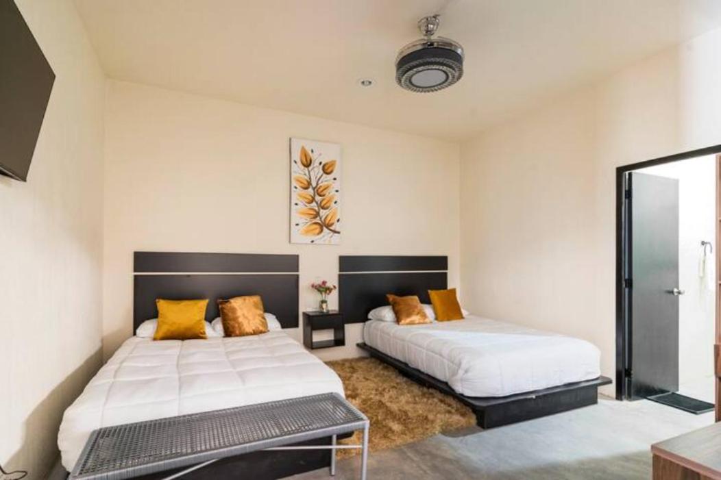 Economy Double Room