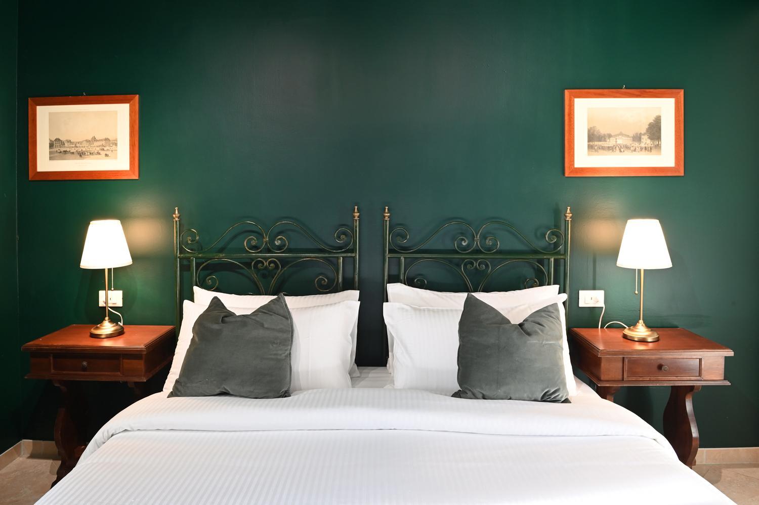 Superior Double or Twin Room with Mountain View - Photo 1