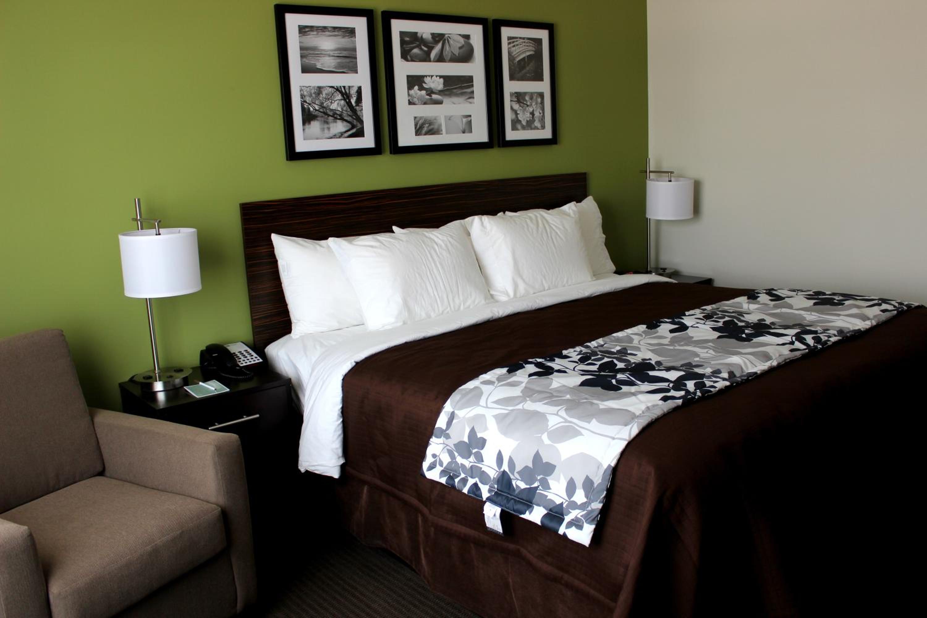 King Suite - Accessible/Non-Smoking photo 1