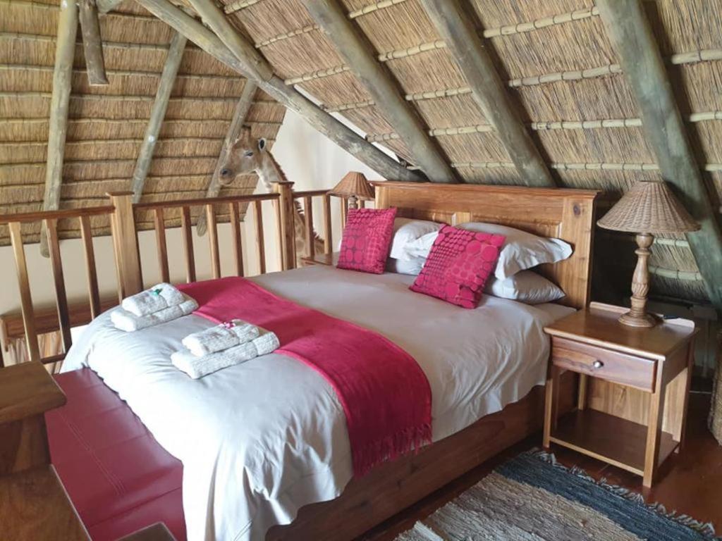 Family Suite - Photo 10
