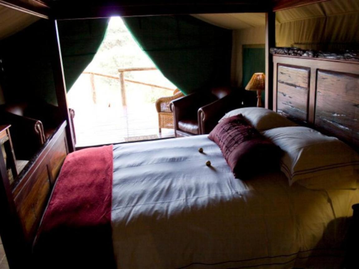 Deluxe Tent photo 1