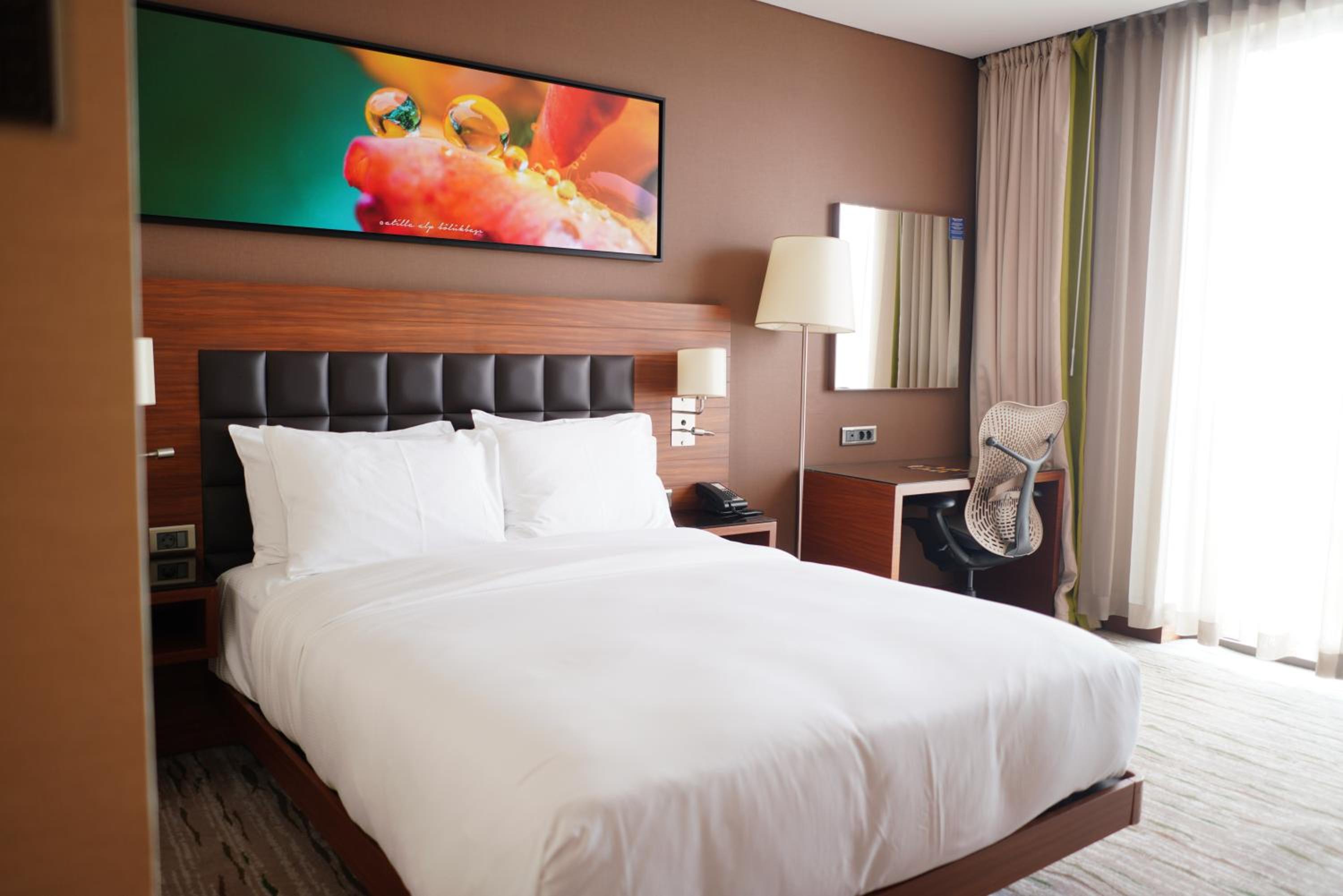 Queen Room - Mobility Access