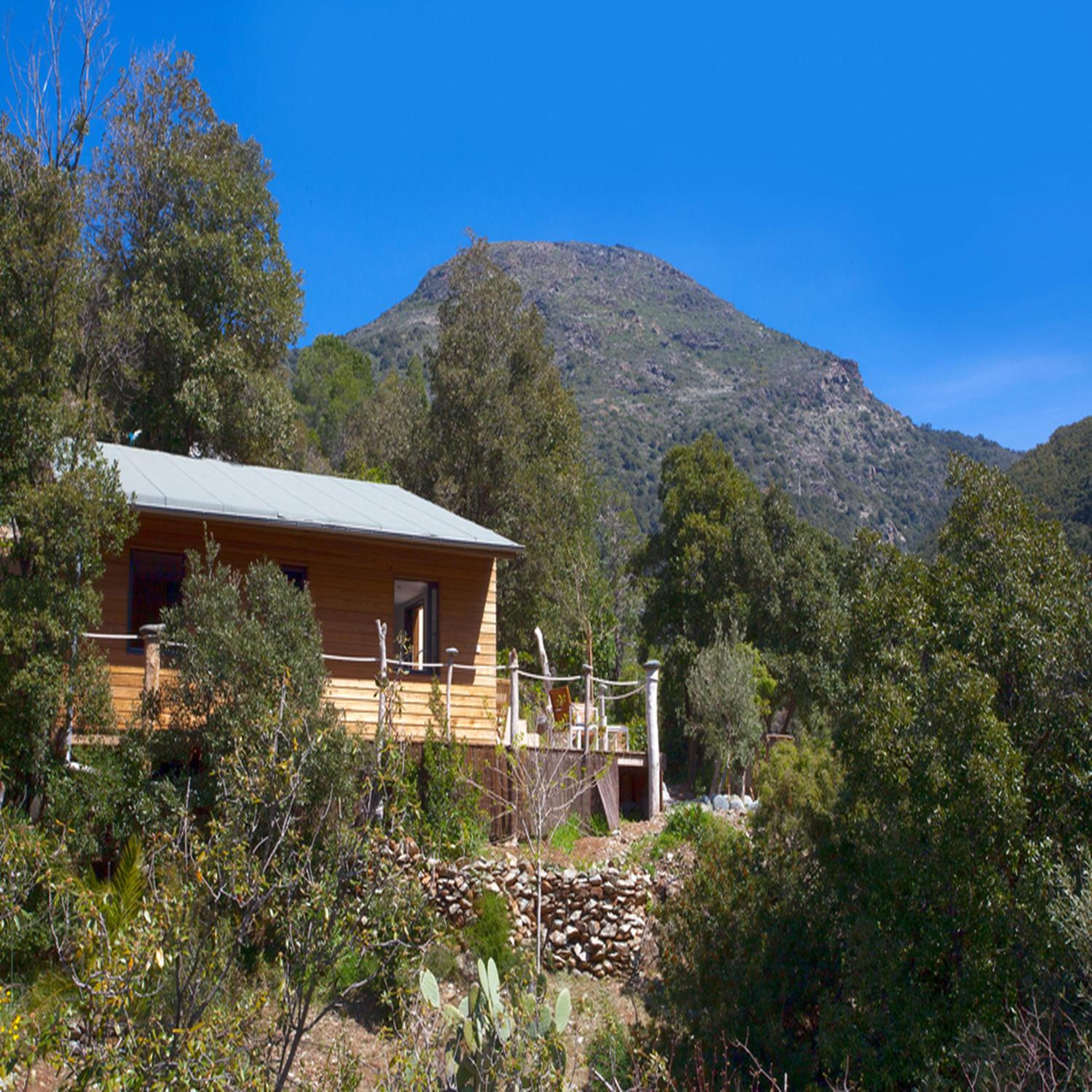 One-Bedroom Chalet photo 3