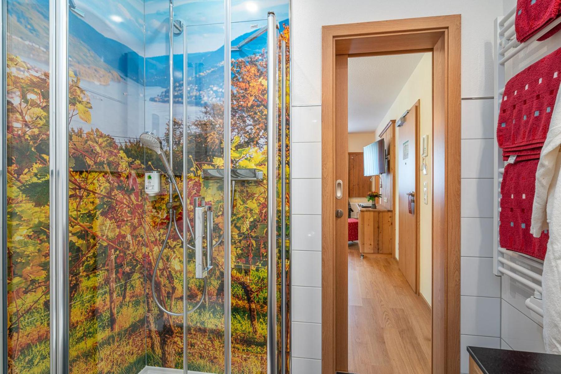 One-Bedroom Apartment "Sauvignon" photo 2