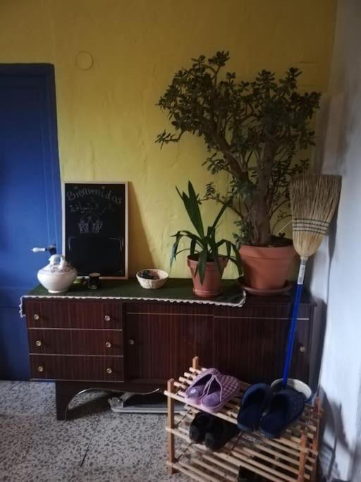 Standard Apartment photo 3