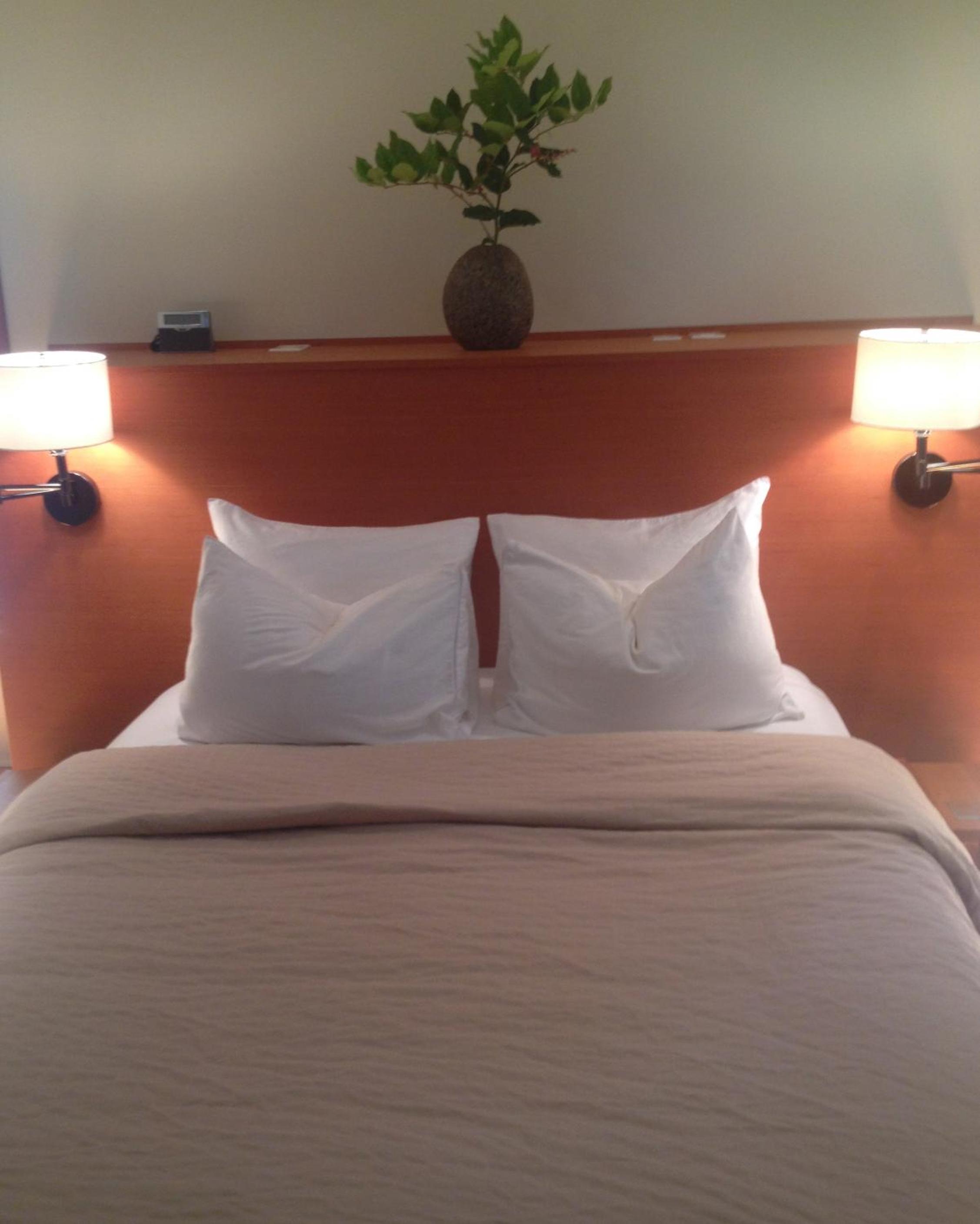 Deluxe Suite With Spa Bath photo 1