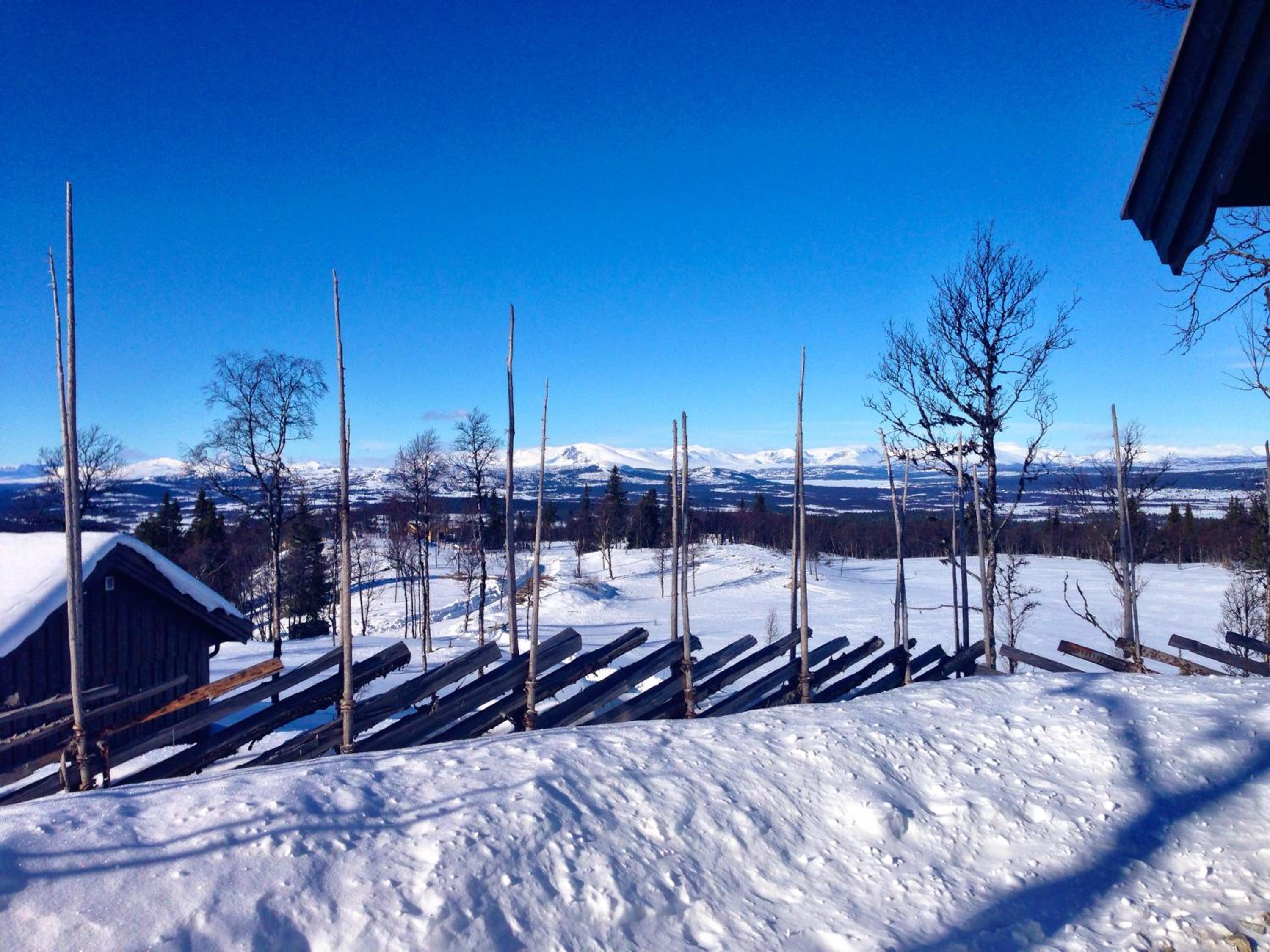 Chalet photo 2