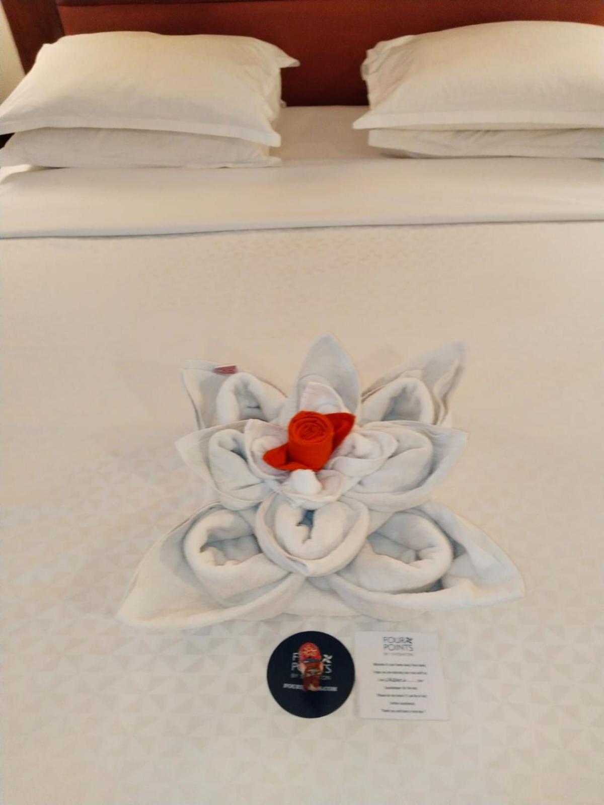 Superior Twin Room - 20% Discount on Food & Beverages - Photo 3