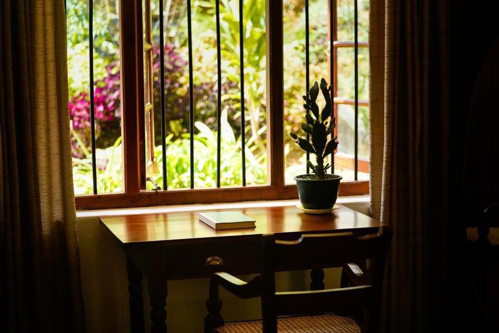 Double Room With Garden View photo 2