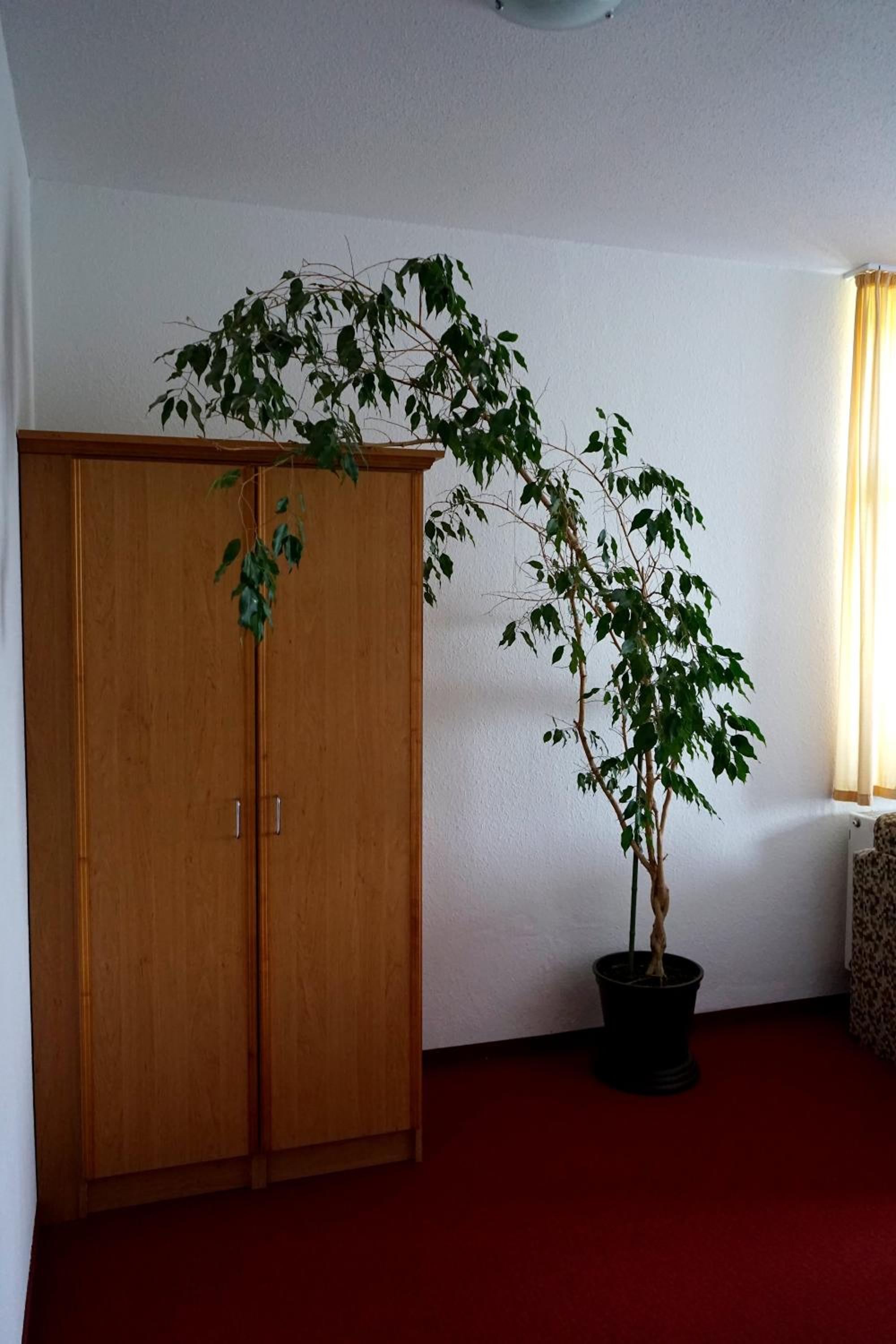 Double Room with Terrace - Photo 7