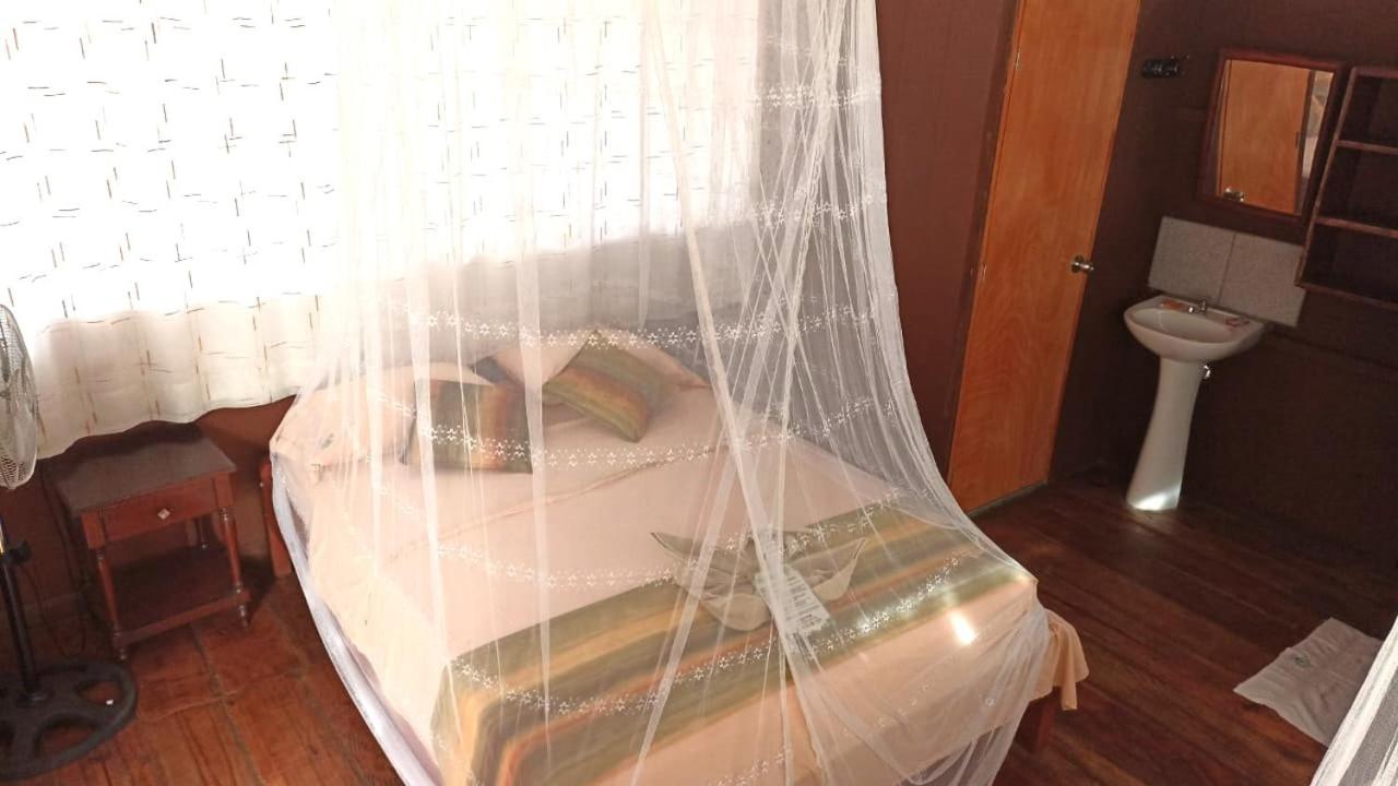 Single Room with Bathroom photo 1