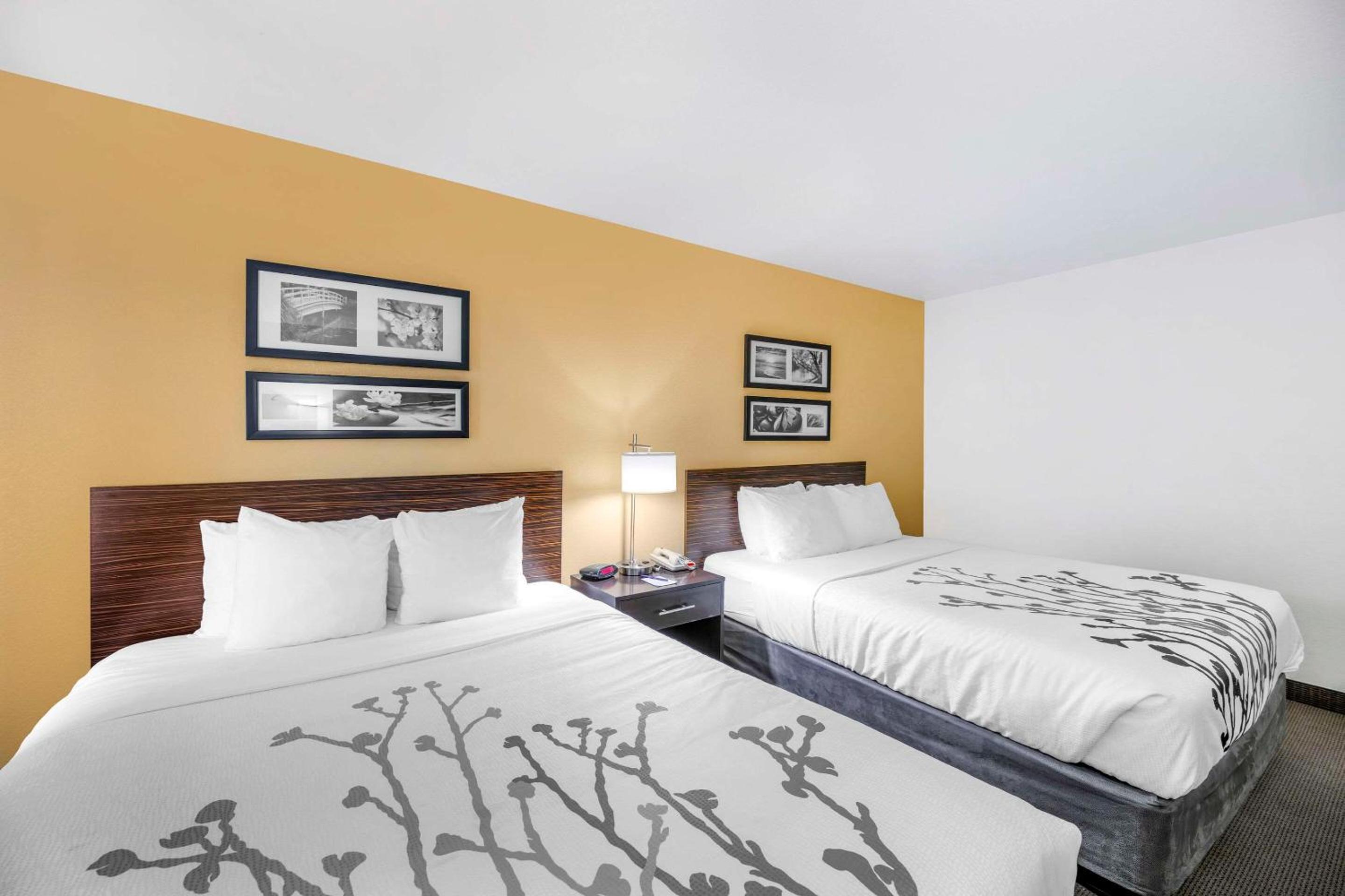 Standard Queen Room with Two Queen Beds - Non-Smoking photo 1