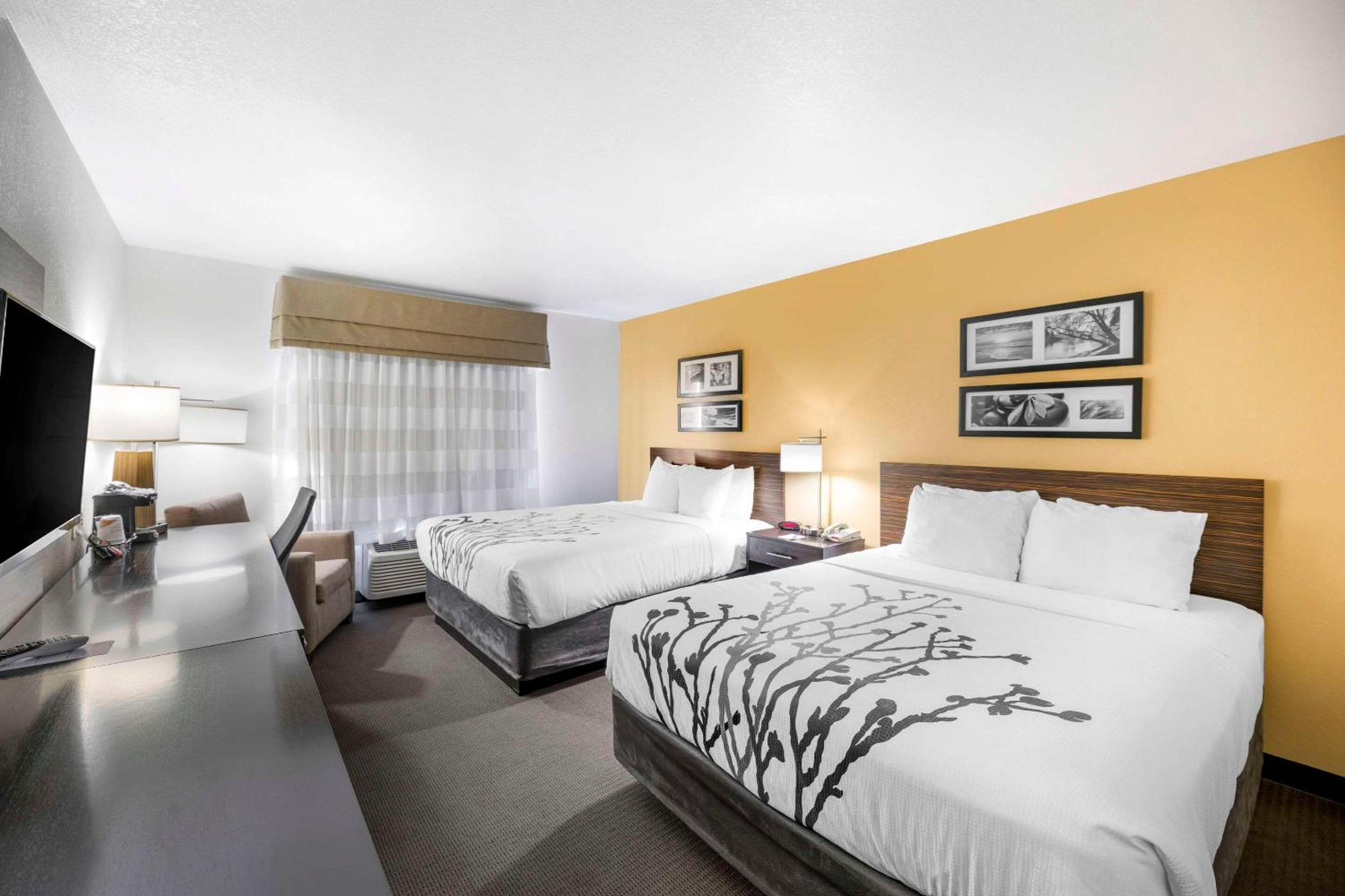 Standard Queen Room with Two Queen Beds - Non-Smoking photo 2