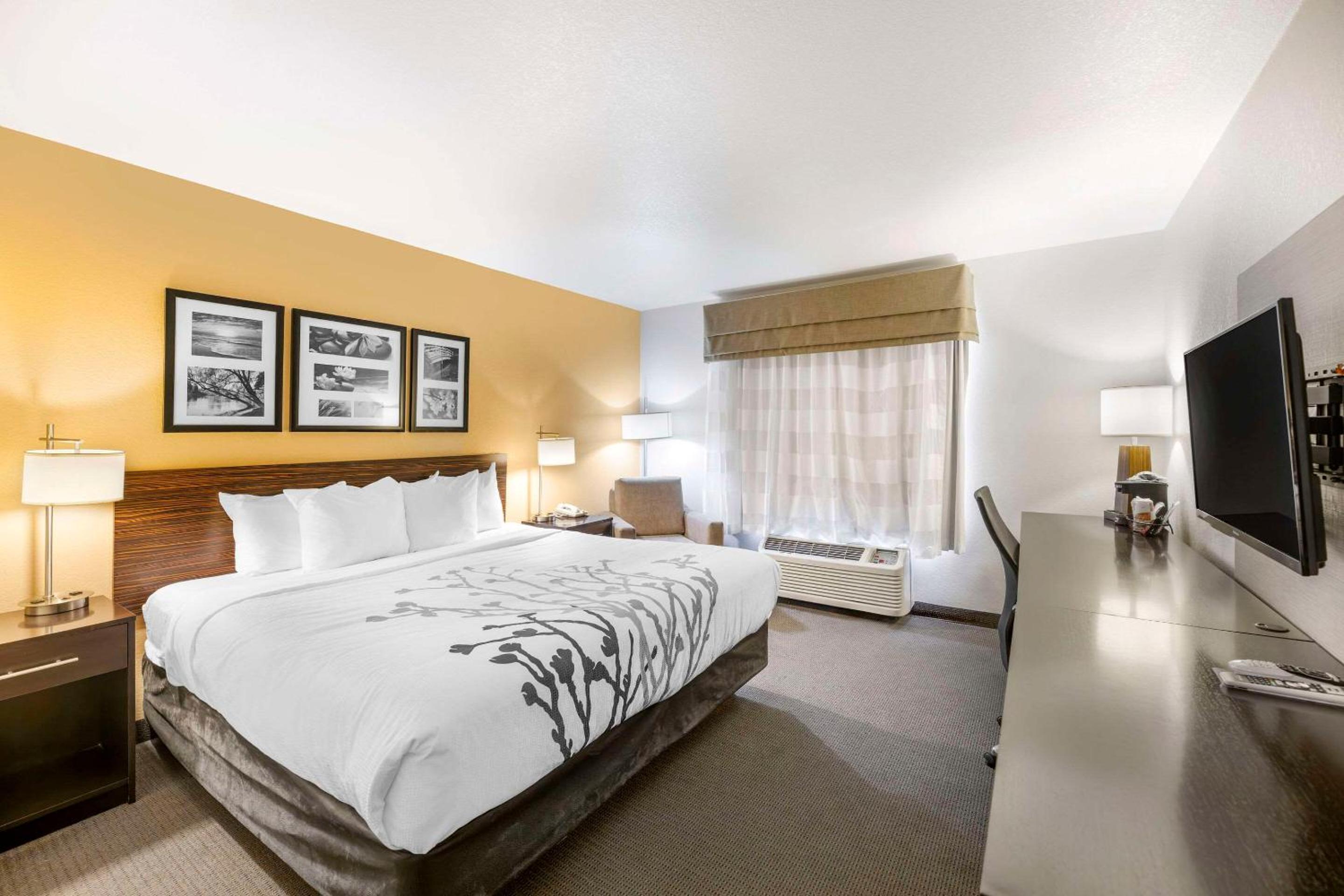 Standard King Room - Non-Smoking  photo 1