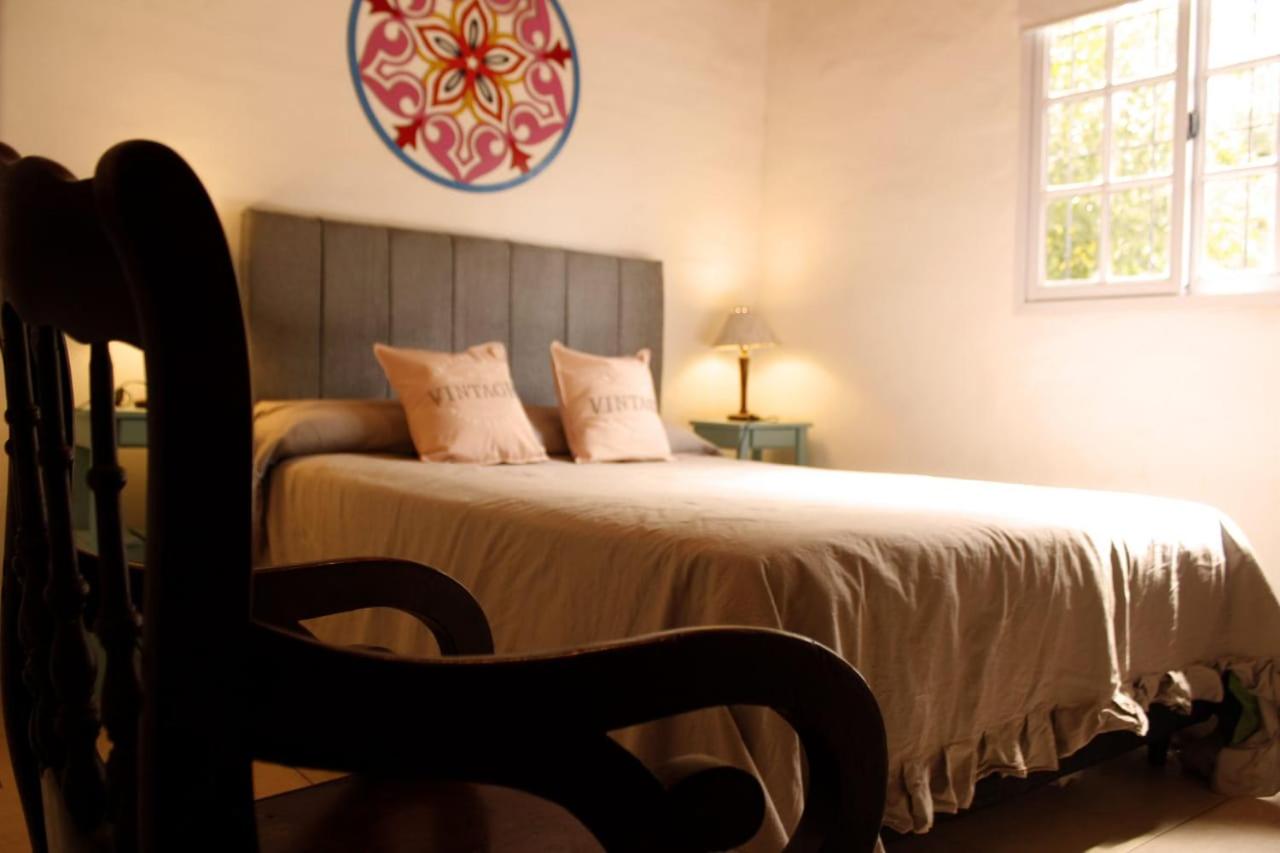 One-Bedroom House photo 1