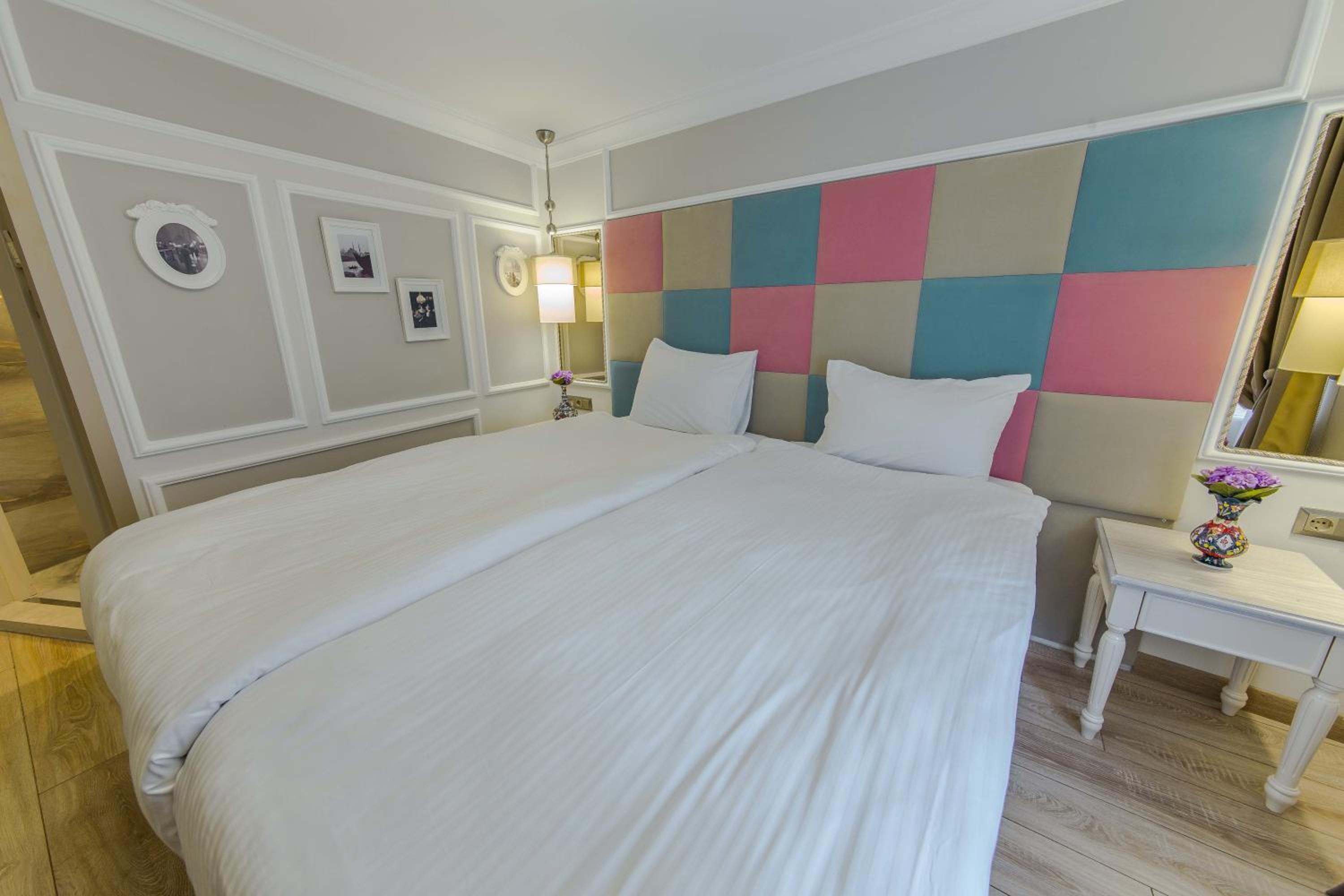 Single Room photo 2